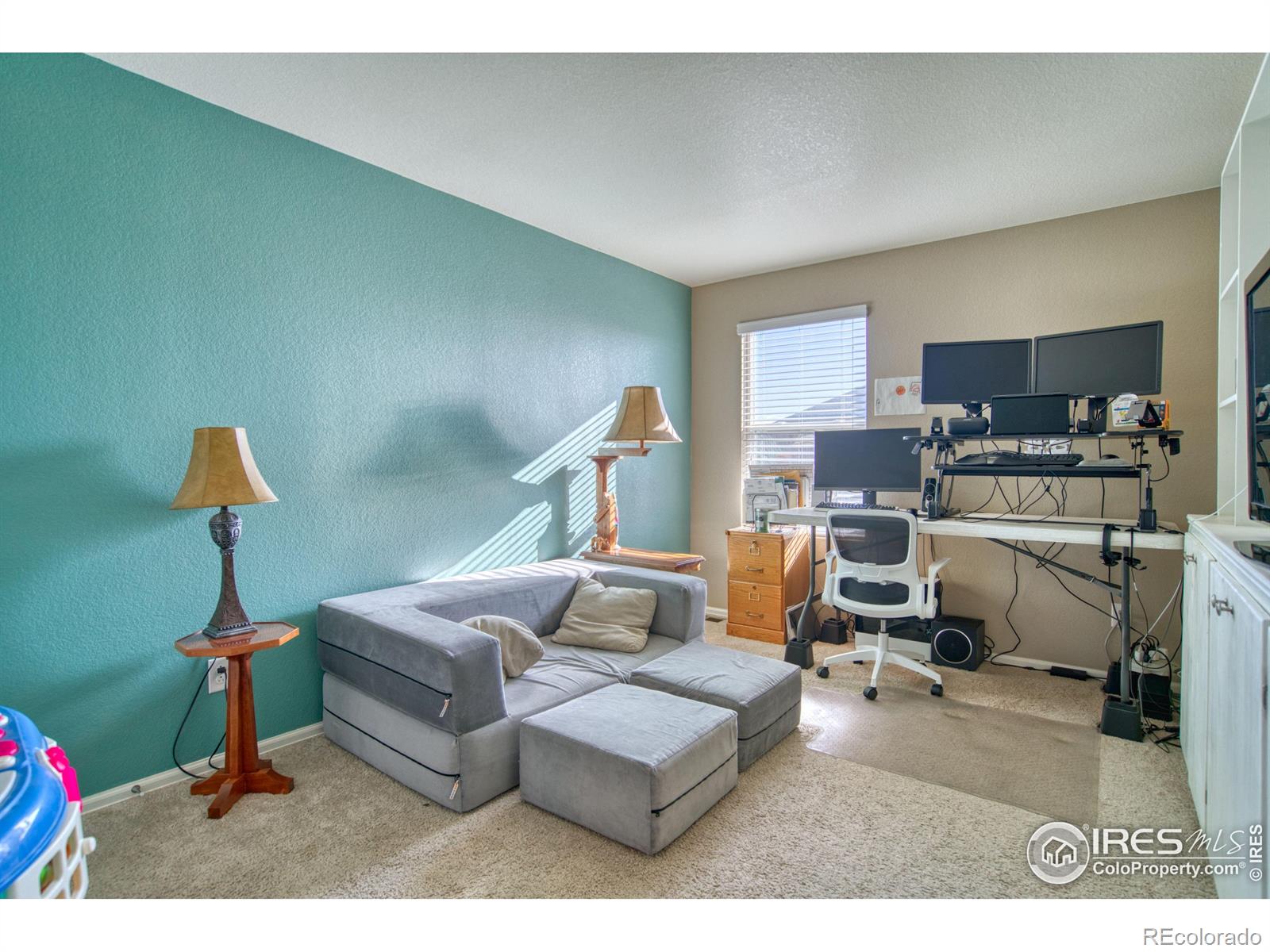 MLS Image #24 for 909  charlton drive,windsor, Colorado