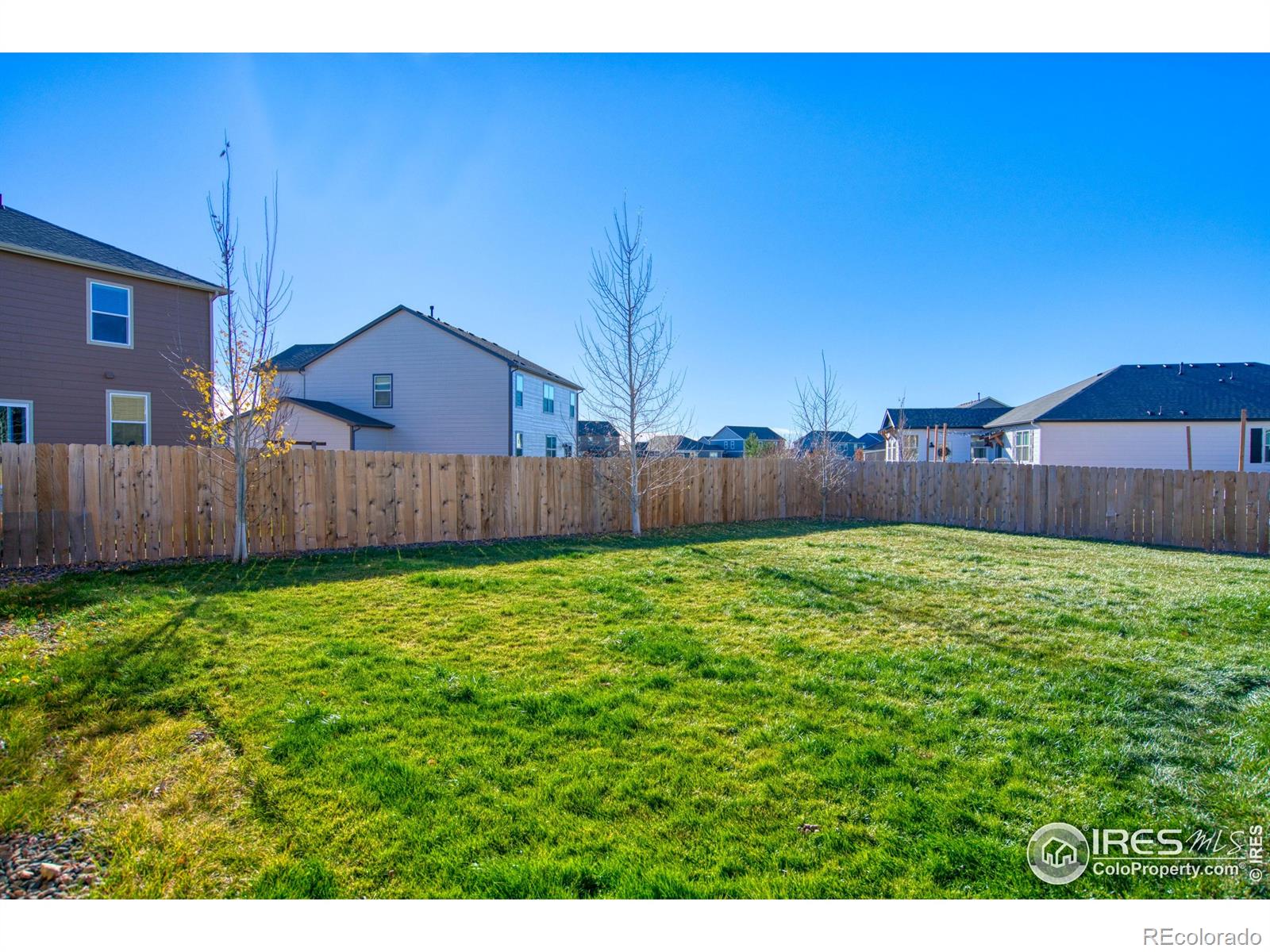 MLS Image #28 for 909  charlton drive,windsor, Colorado
