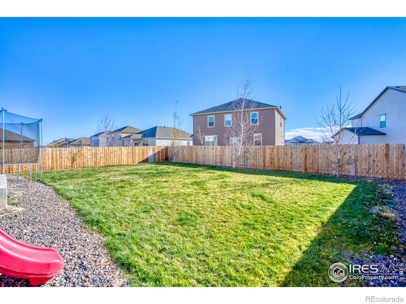 MLS Image #29 for 909  charlton drive,windsor, Colorado