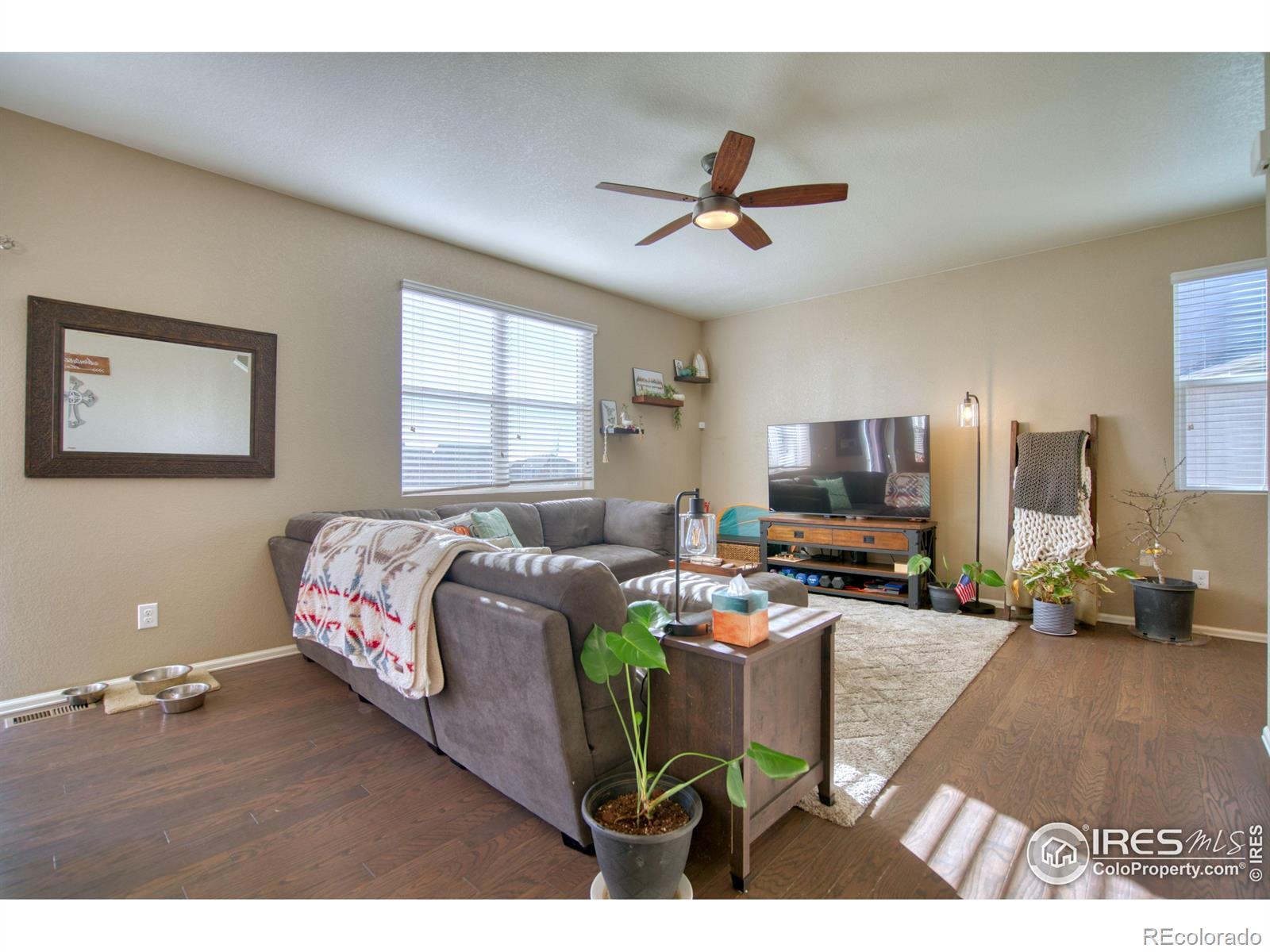 MLS Image #3 for 909  charlton drive,windsor, Colorado