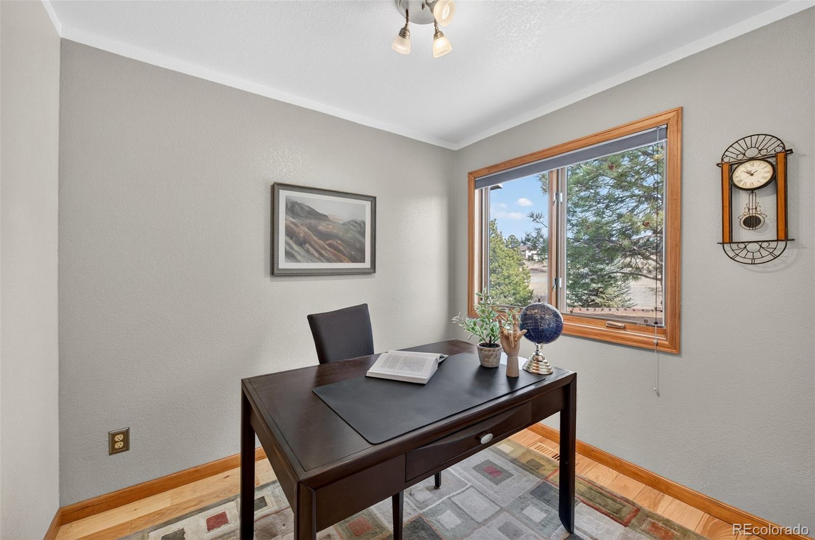 MLS Image #25 for 9696 e sand lily lane,parker, Colorado