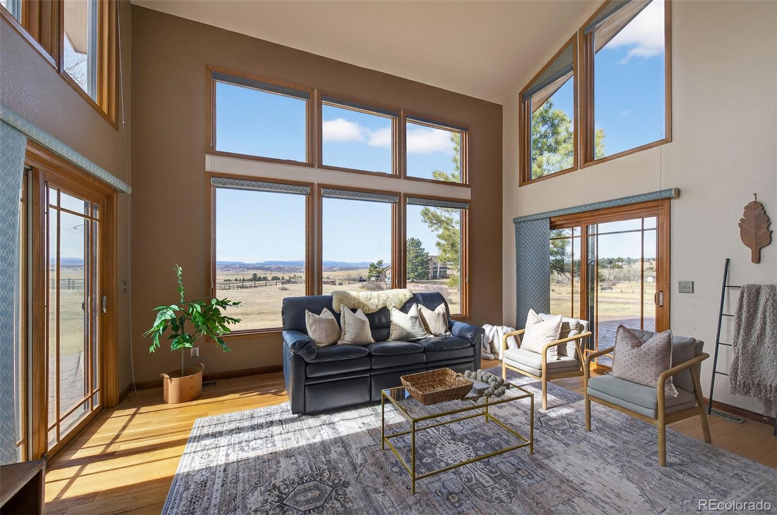 MLS Image #6 for 9696 e sand lily lane,parker, Colorado