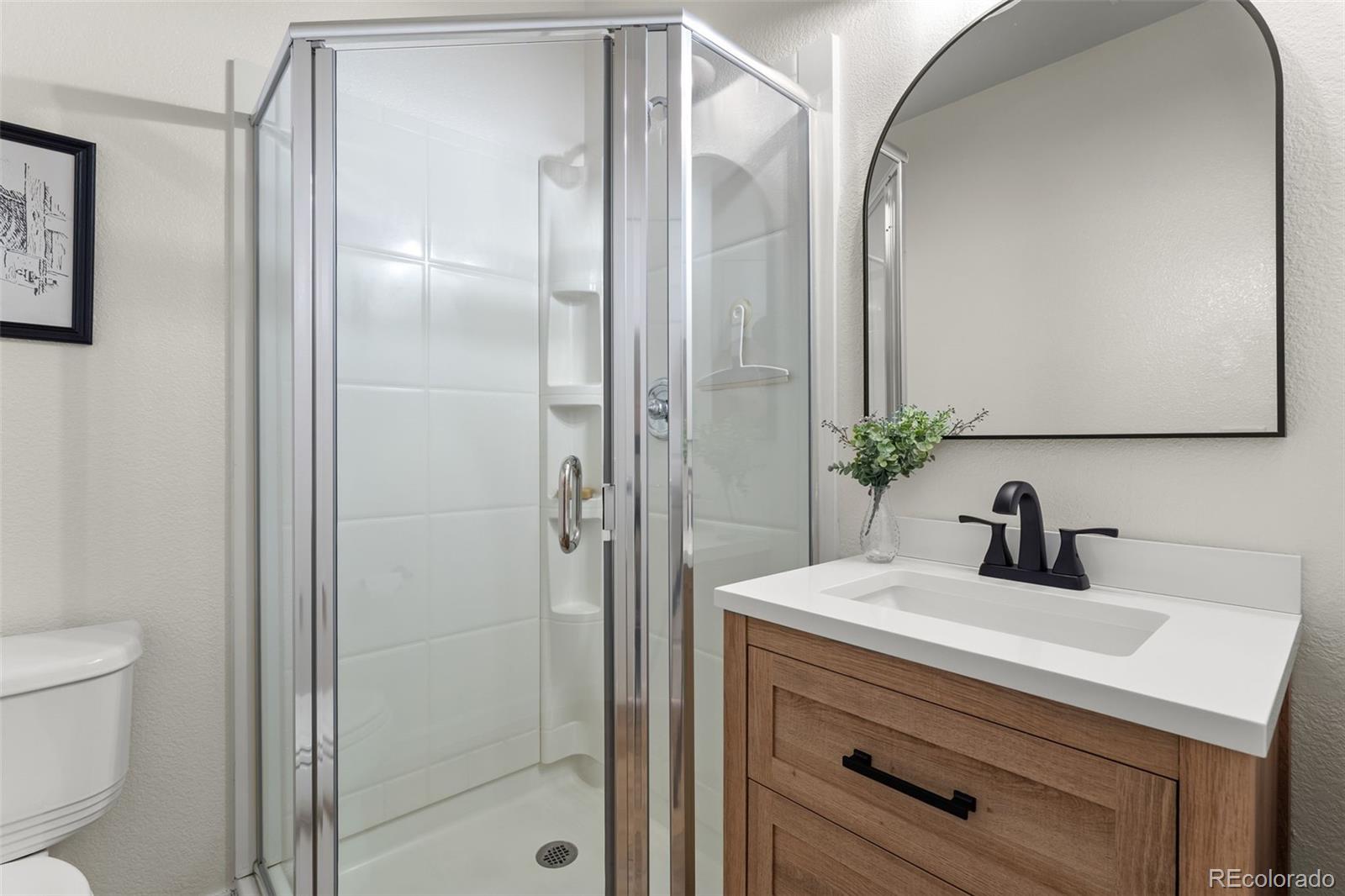 MLS Image #14 for 3431  vestal loop,broomfield, Colorado