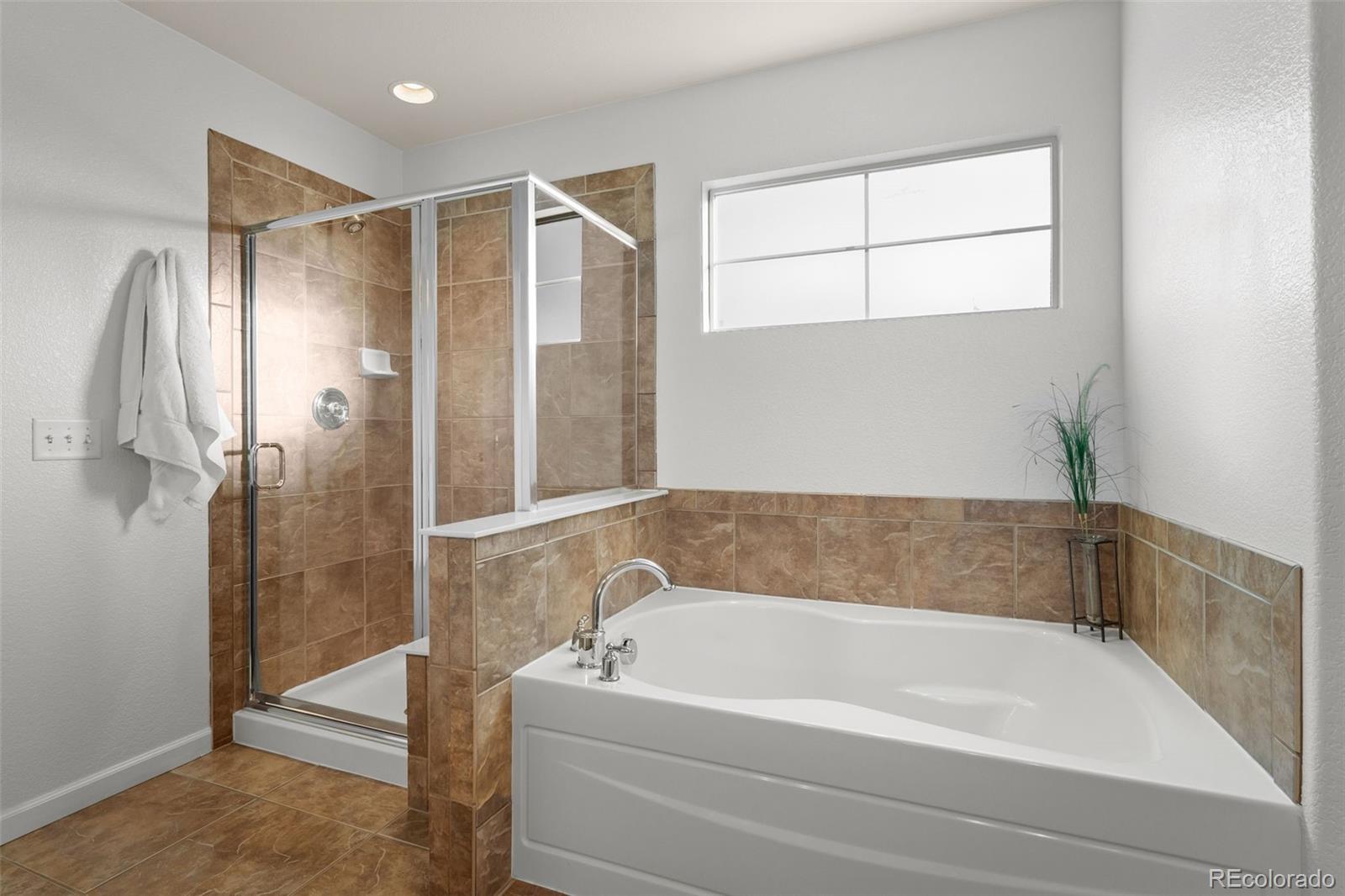 MLS Image #19 for 3431  vestal loop,broomfield, Colorado
