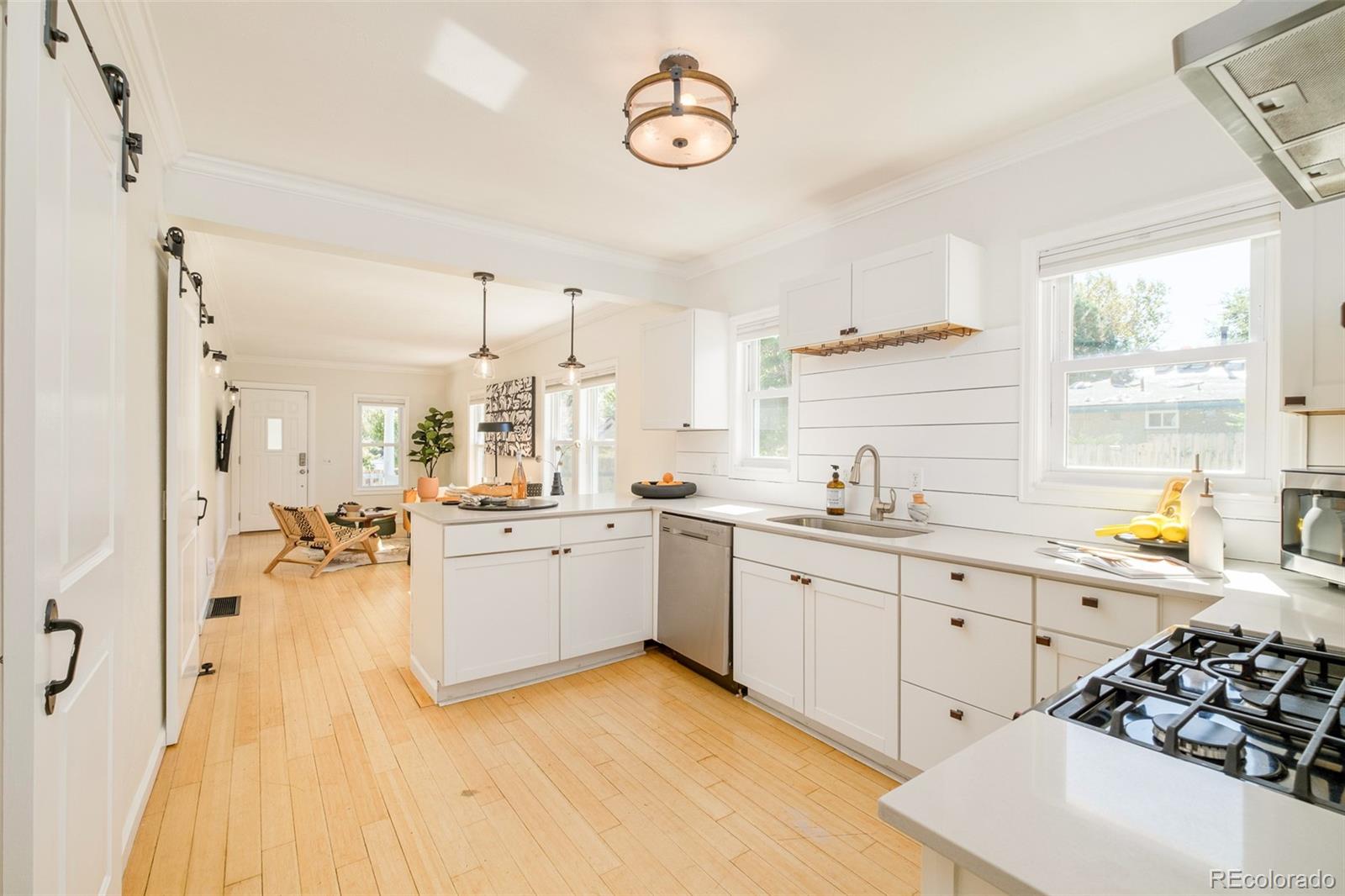 MLS Image #3 for 4635  elm court,denver, Colorado