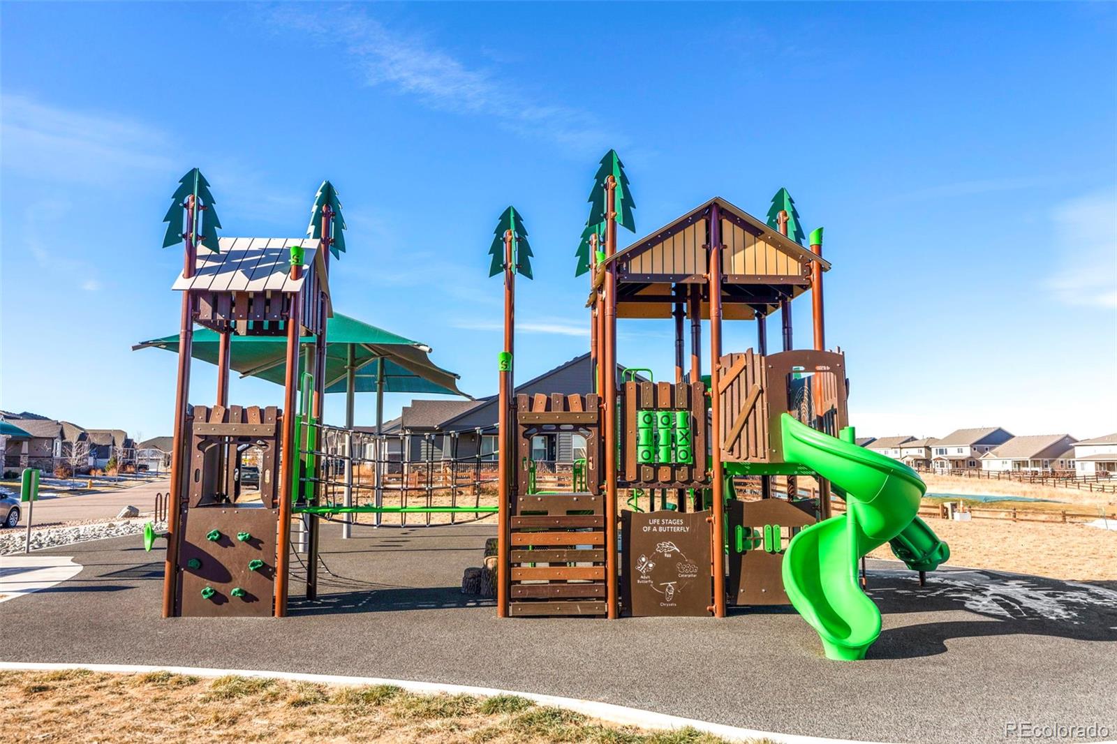 MLS Image #35 for 15950  buffalo run drive,commerce city, Colorado