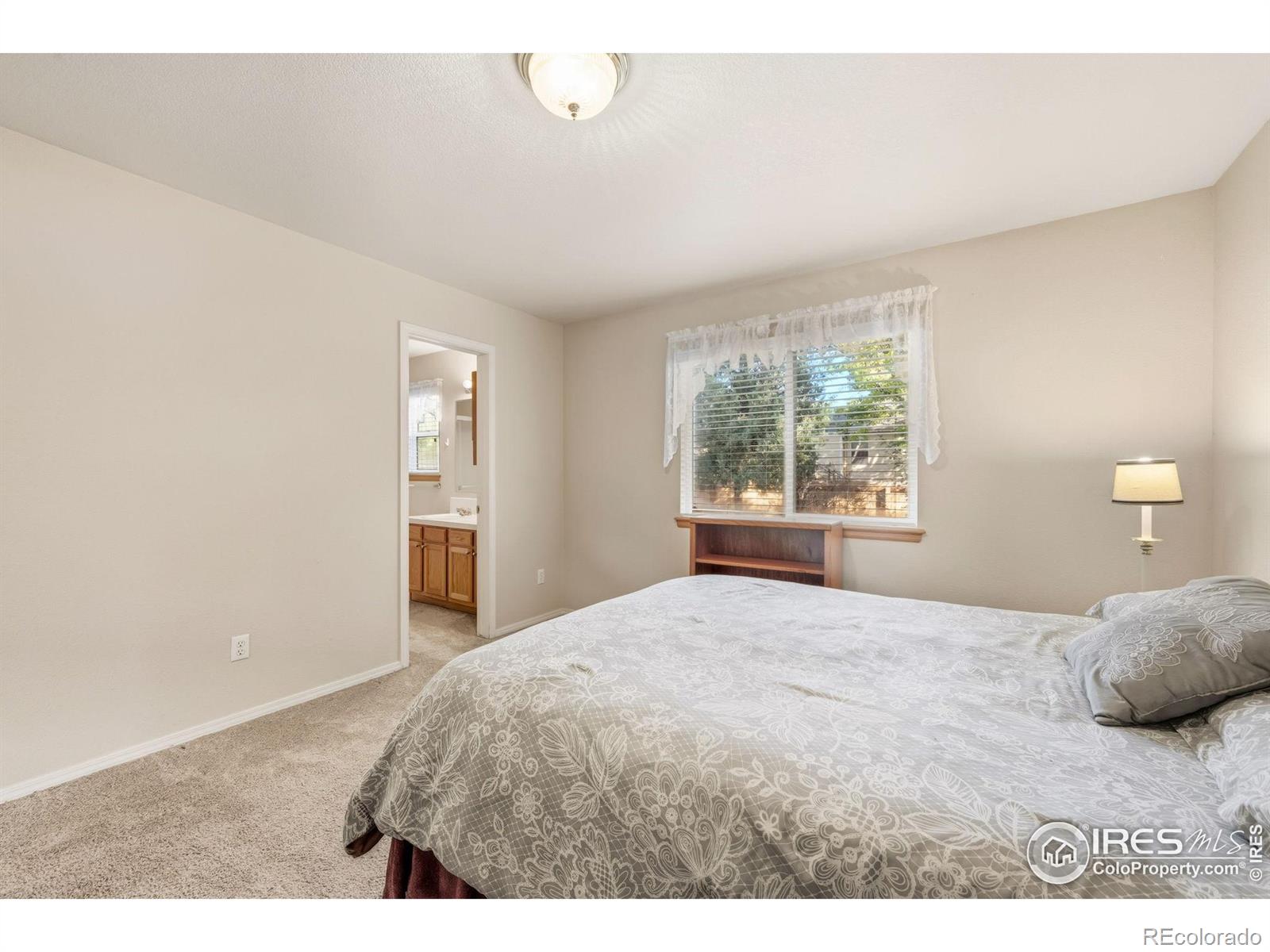 MLS Image #20 for 1905  greenbriar court,johnstown, Colorado