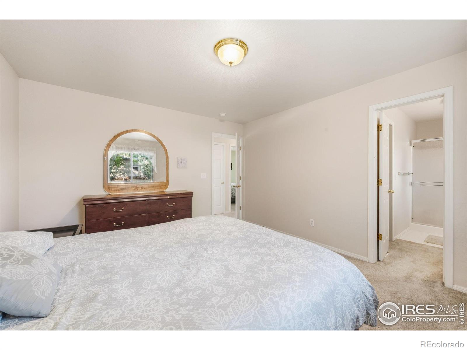 MLS Image #21 for 1905  greenbriar court,johnstown, Colorado