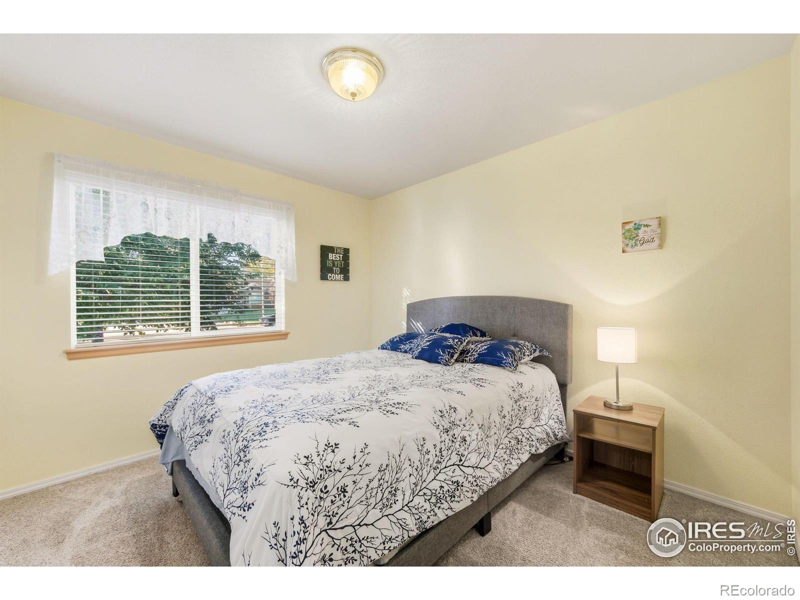 MLS Image #23 for 1905  greenbriar court,johnstown, Colorado