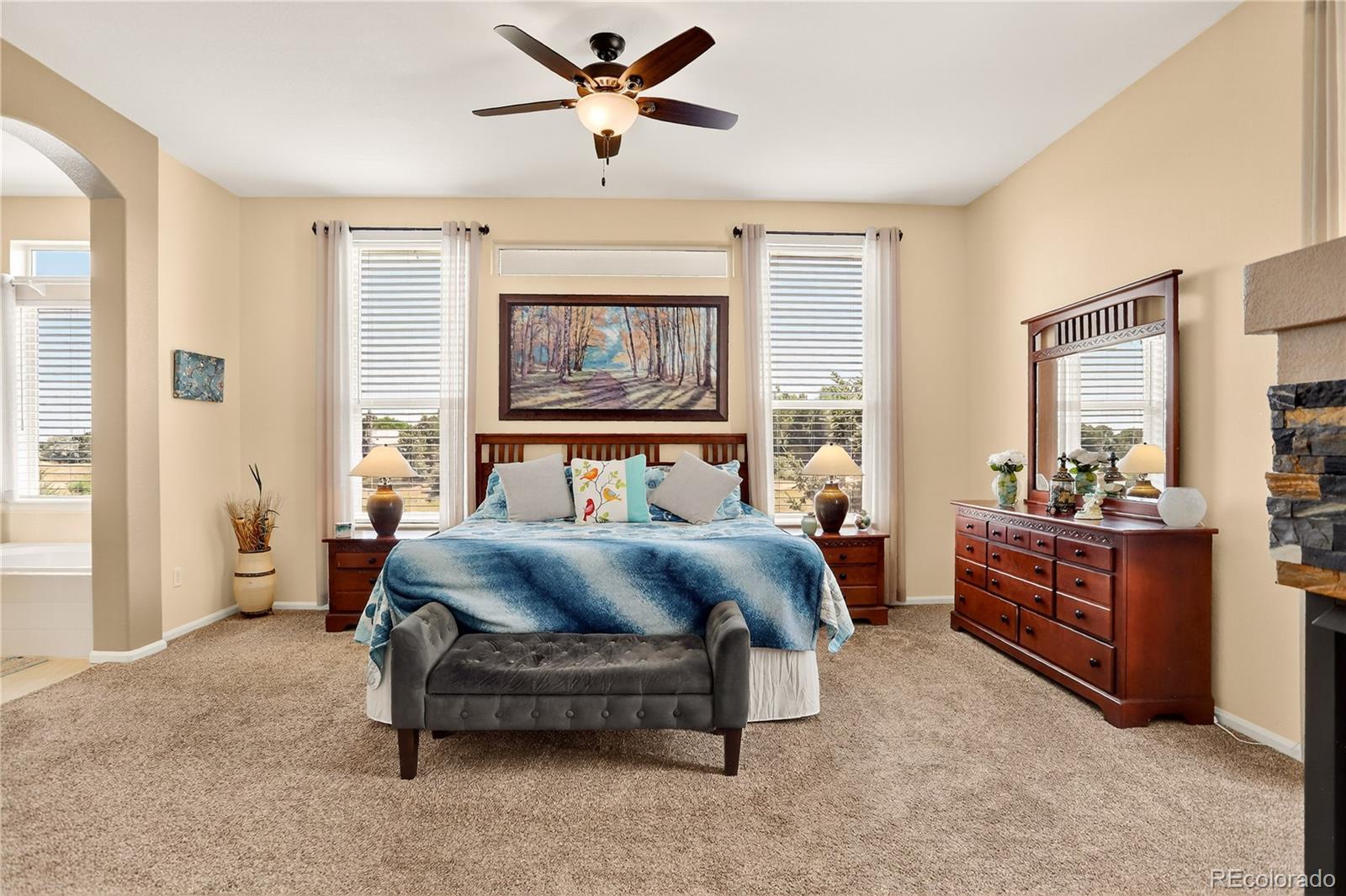 MLS Image #16 for 1118  berganot trail,castle pines, Colorado