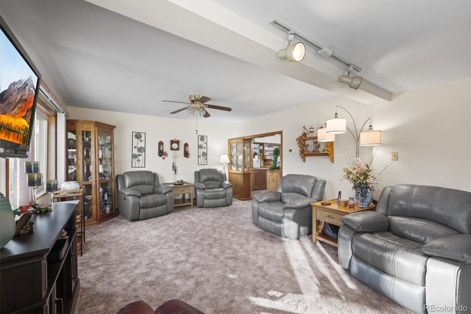 MLS Image #7 for 577 s main street,elizabeth, Colorado