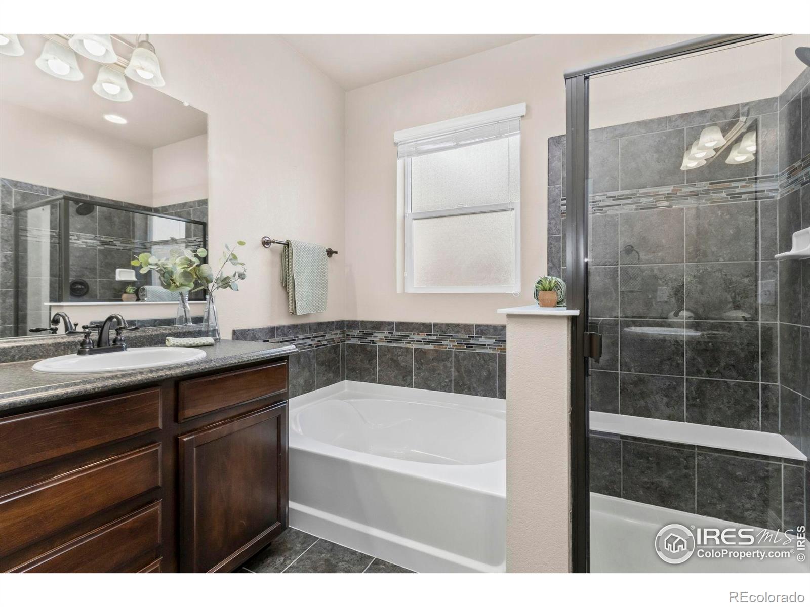 MLS Image #10 for 2220  maid marian court,fort collins, Colorado