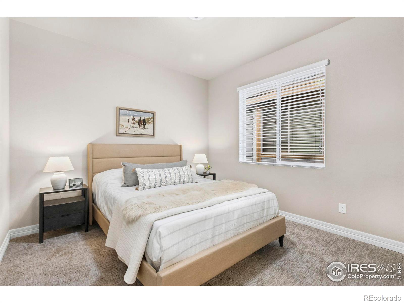 MLS Image #11 for 2220  maid marian court,fort collins, Colorado