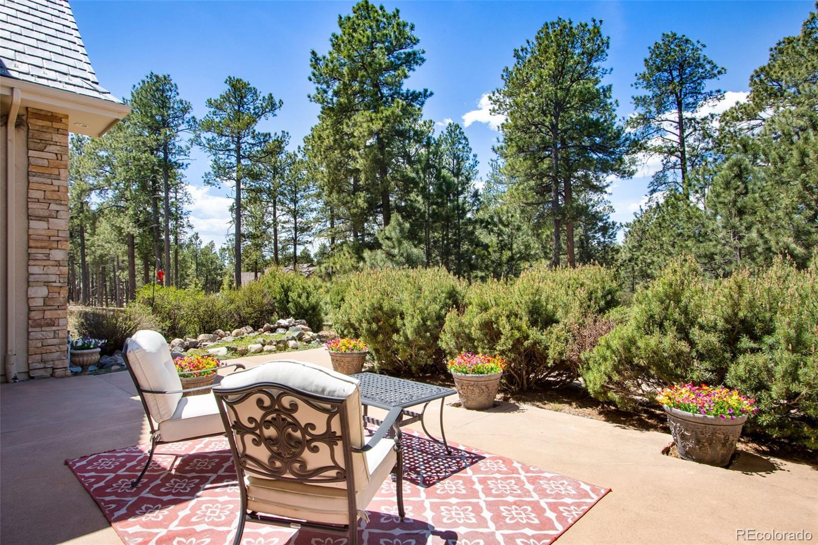 MLS Image #5 for 16075  winding trail road,colorado springs, Colorado