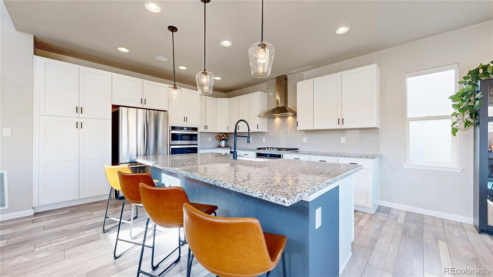 MLS Image #17 for 1107  basalt ridge loop,castle rock, Colorado