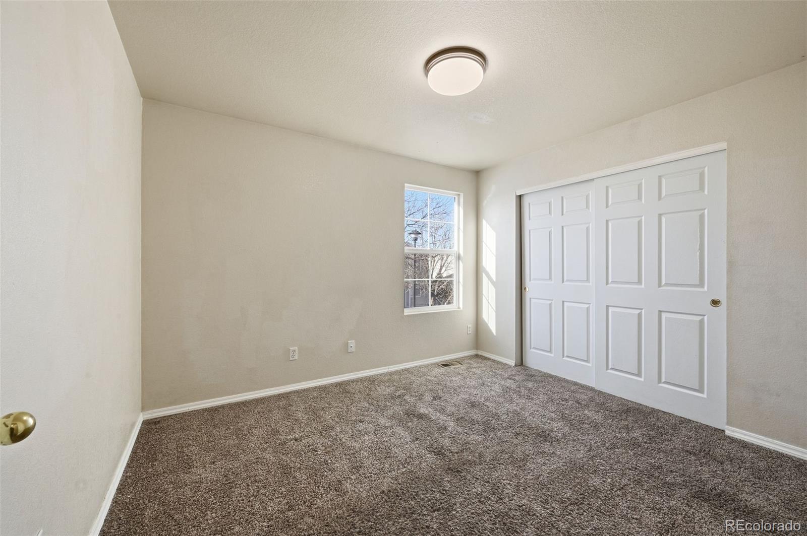 MLS Image #12 for 1247  bluejay avenue,brighton, Colorado