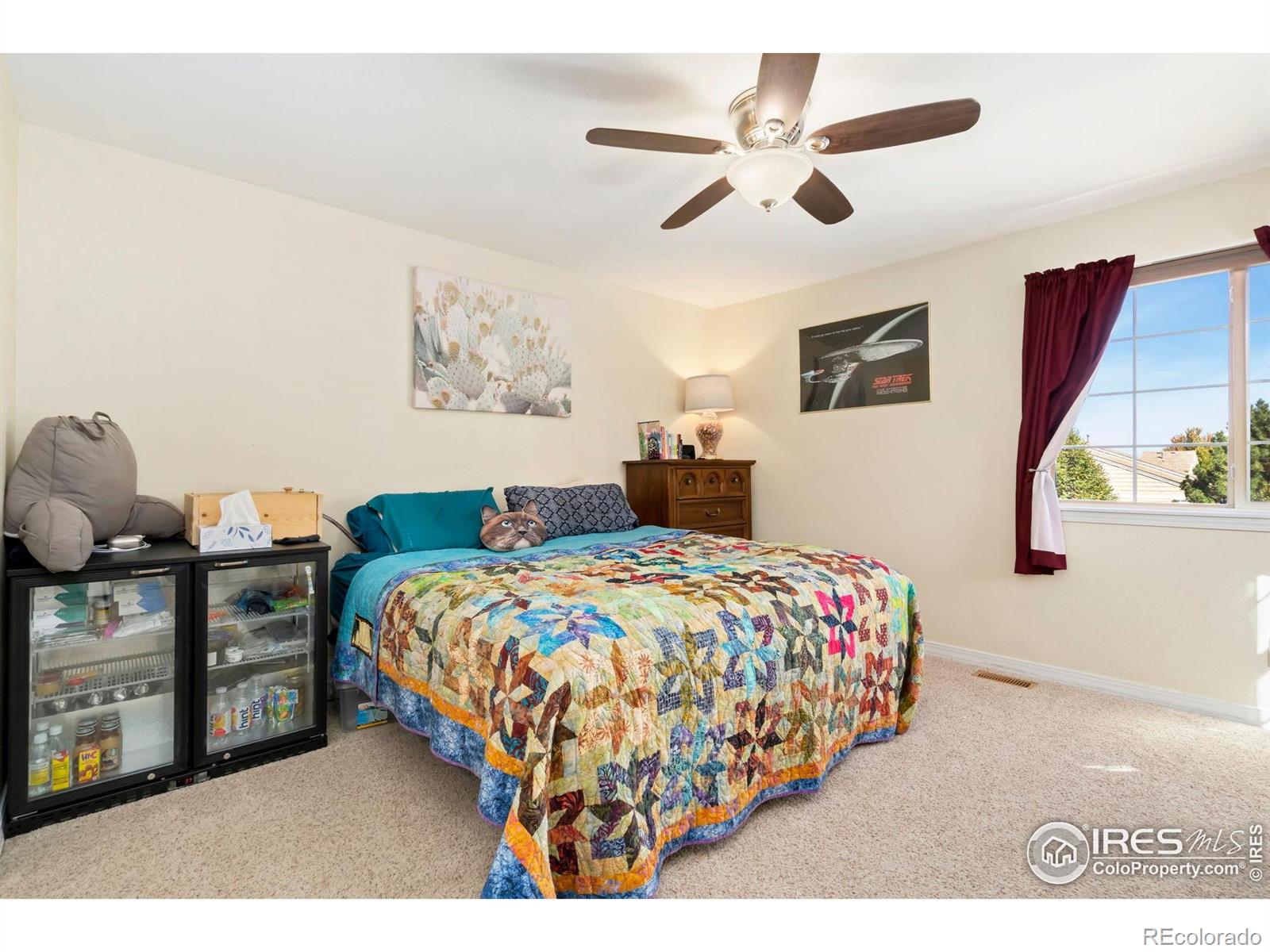 MLS Image #12 for 6803  antigua drive,fort collins, Colorado