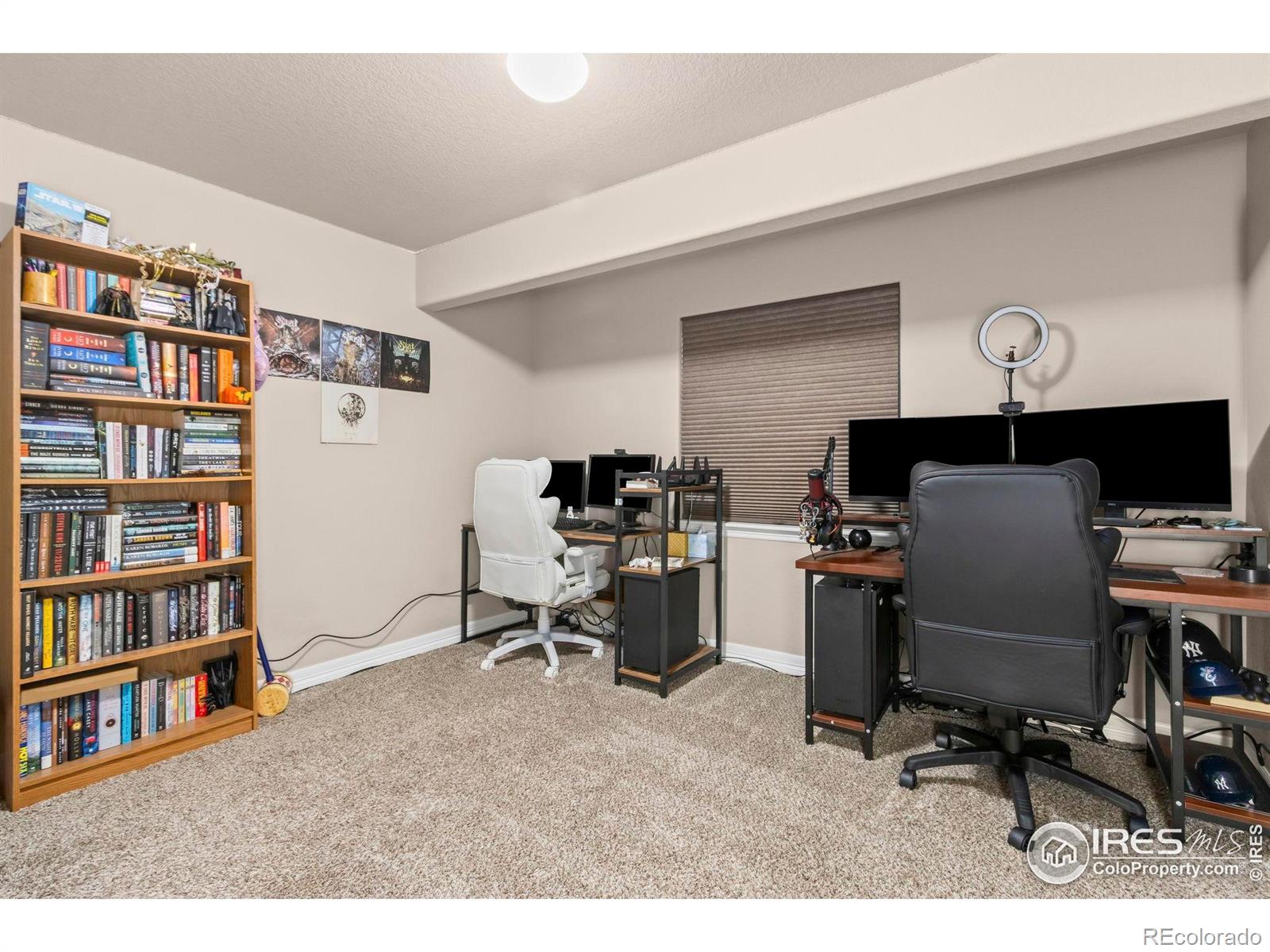 MLS Image #12 for 4609  waltham drive,windsor, Colorado