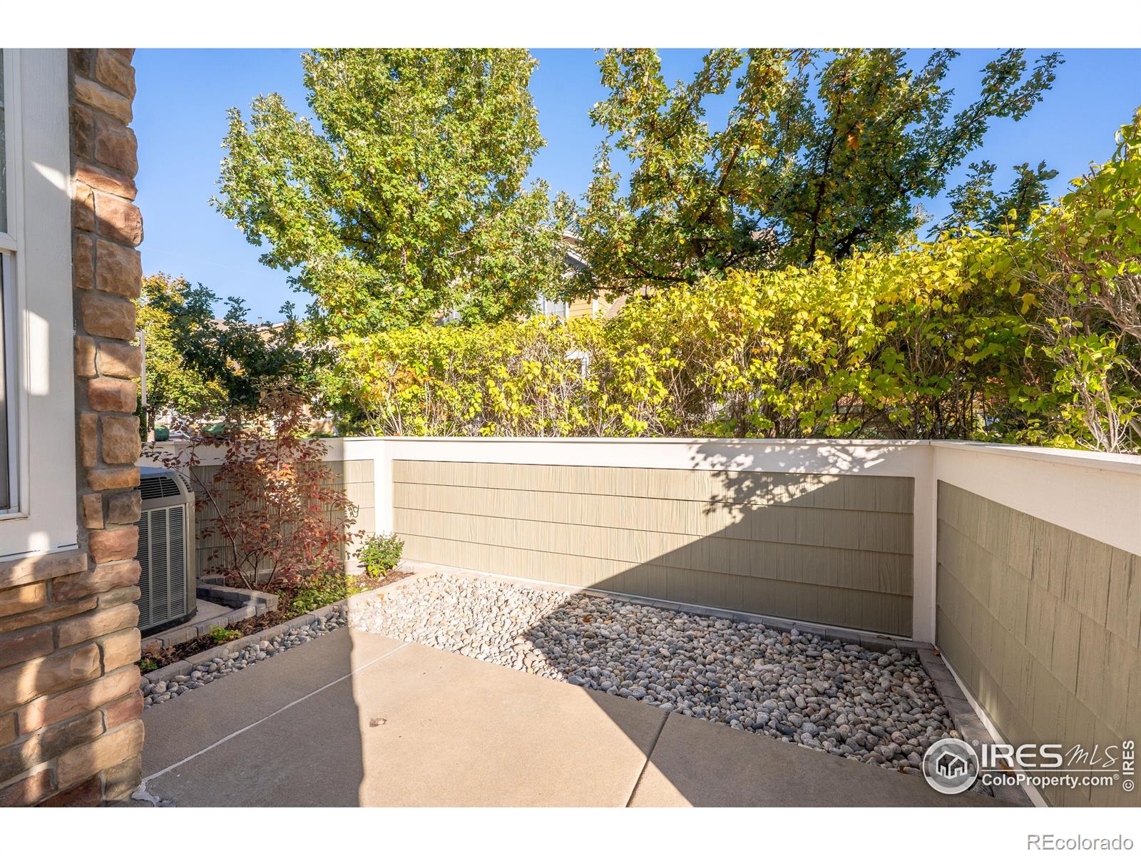 MLS Image #14 for 805  summer hawk drive,longmont, Colorado