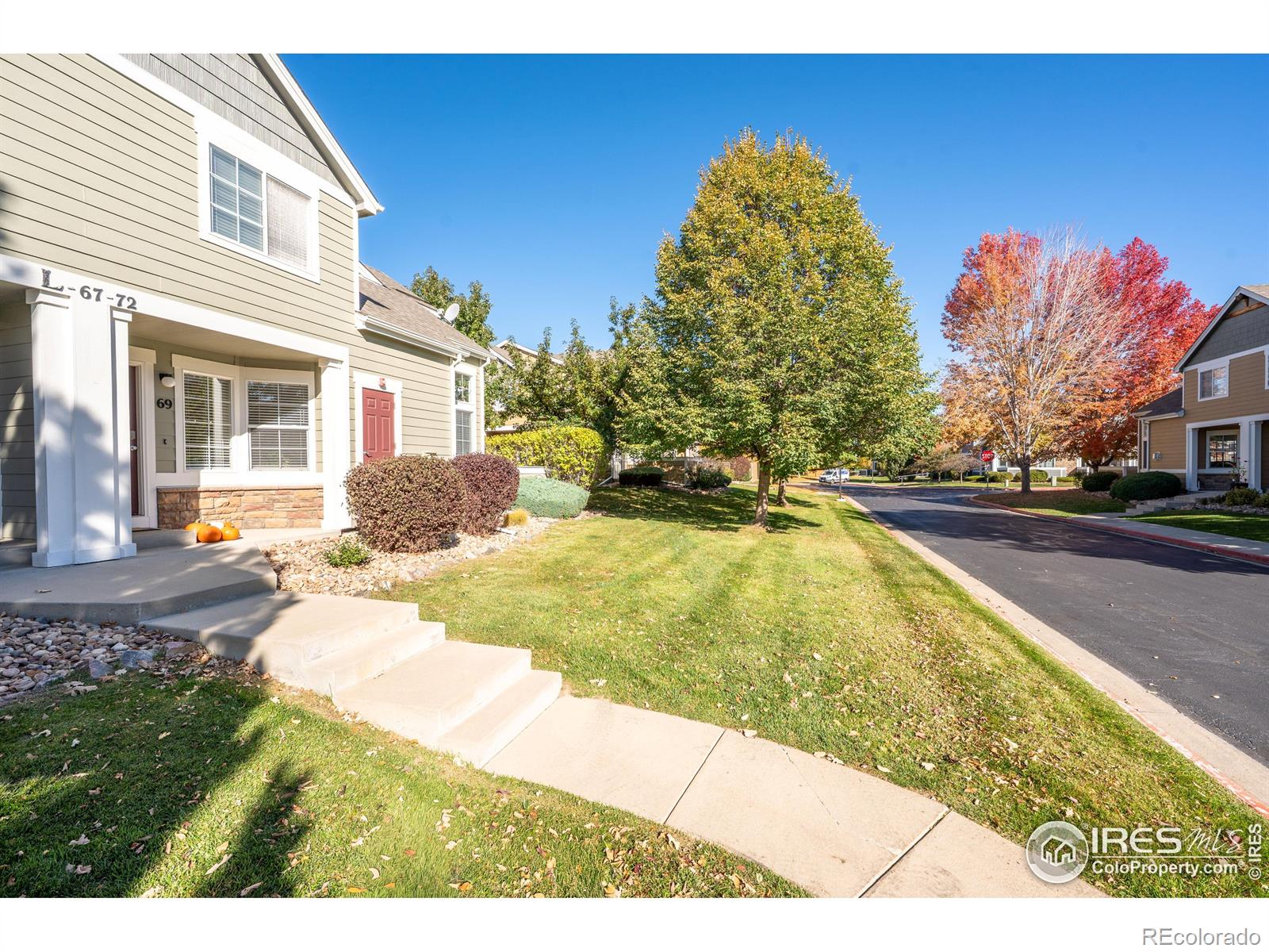 MLS Image #2 for 805  summer hawk drive,longmont, Colorado