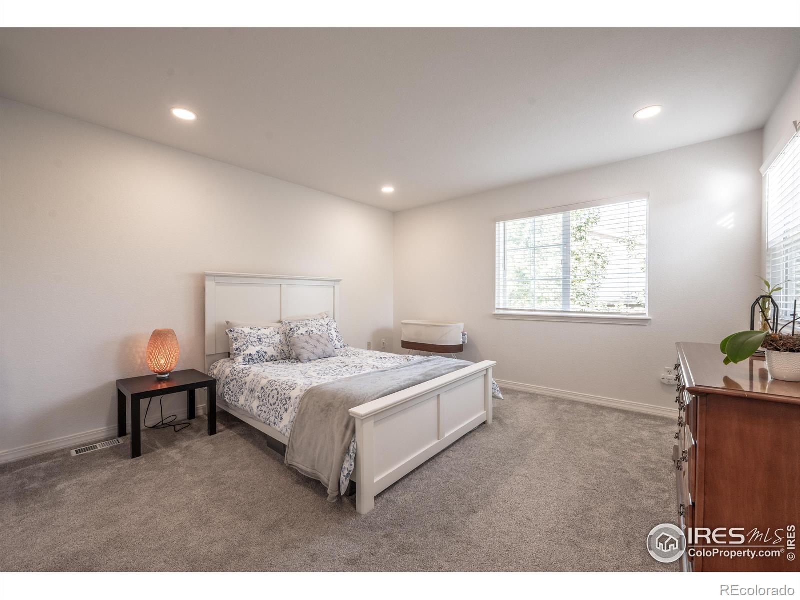 MLS Image #22 for 805  summer hawk drive,longmont, Colorado