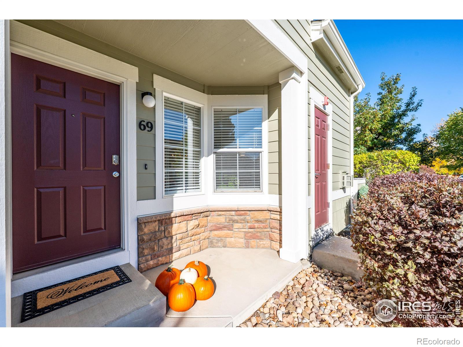 MLS Image #3 for 805  summer hawk drive,longmont, Colorado