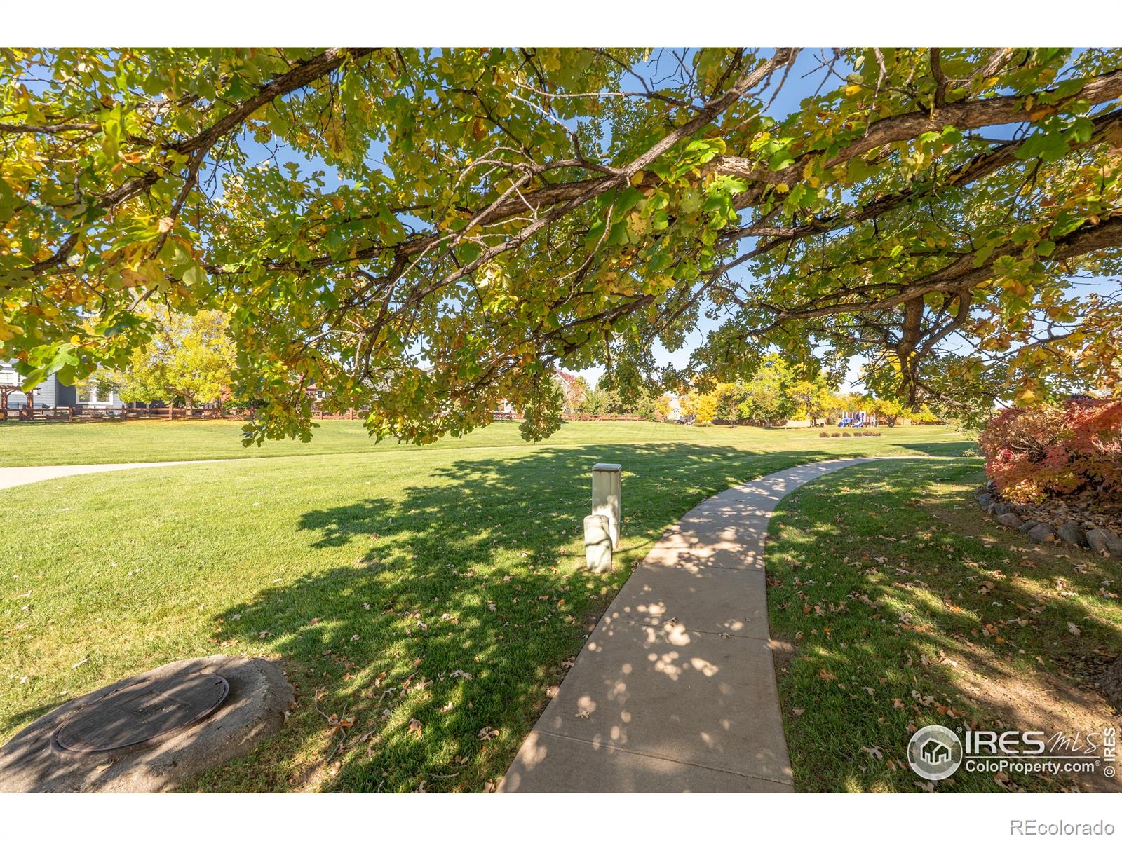 MLS Image #31 for 805  summer hawk drive,longmont, Colorado