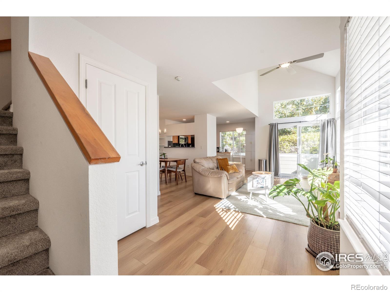 MLS Image #4 for 805  summer hawk drive,longmont, Colorado