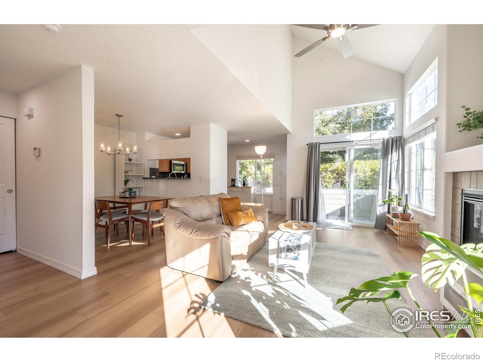 MLS Image #5 for 805  summer hawk drive,longmont, Colorado