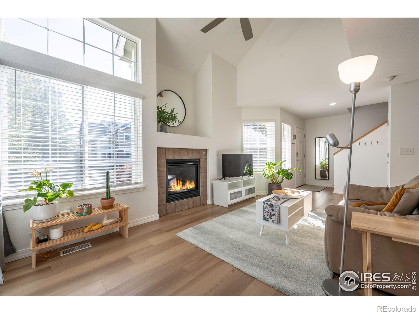 MLS Image #6 for 805  summer hawk drive,longmont, Colorado
