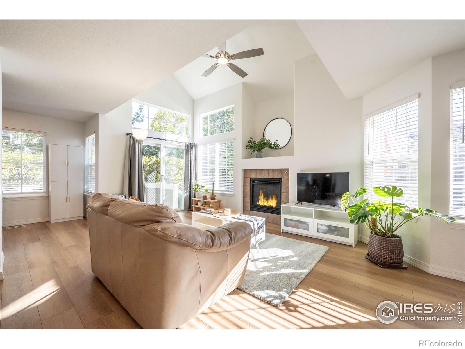 MLS Image #7 for 805  summer hawk drive,longmont, Colorado