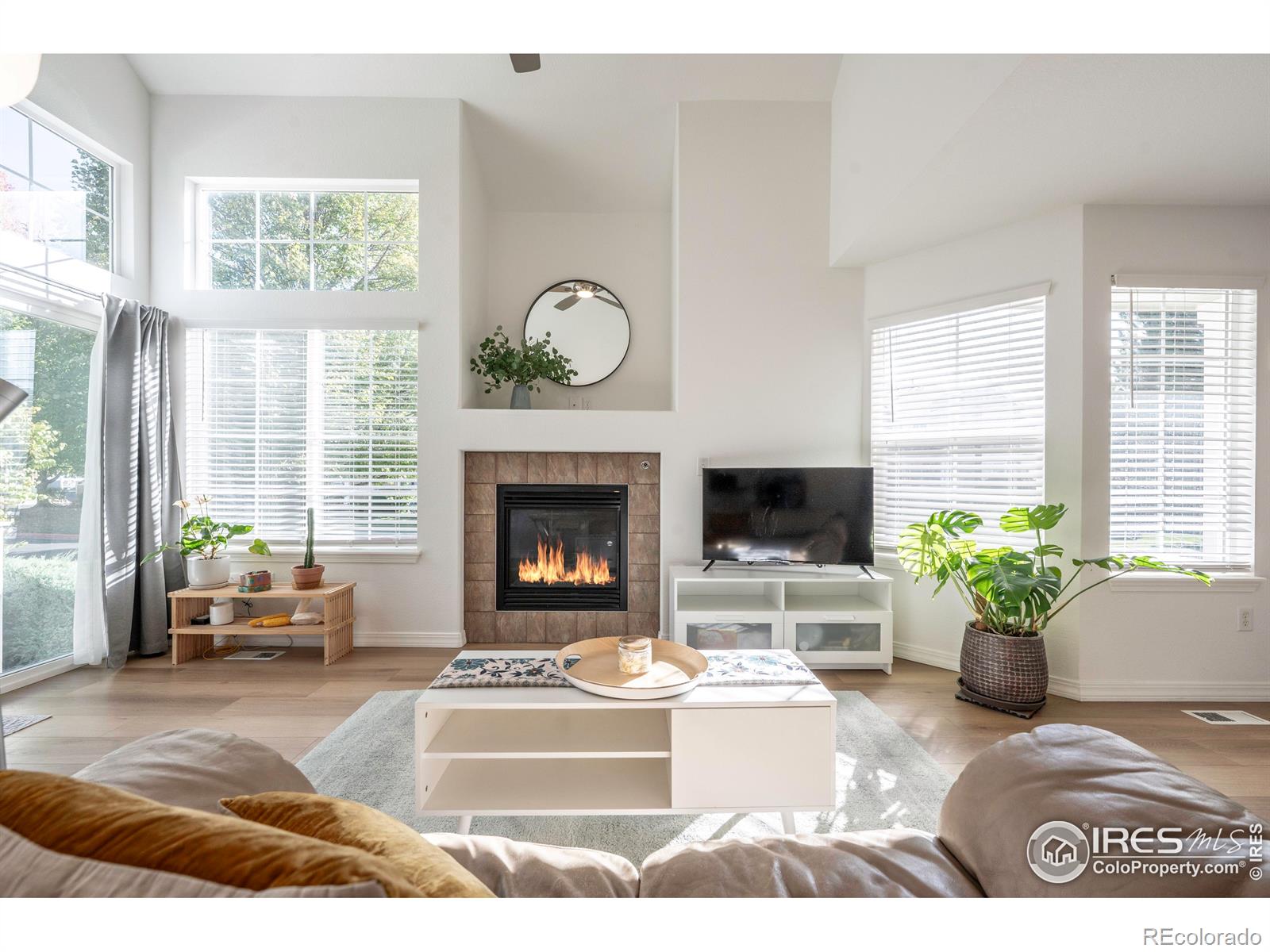 MLS Image #8 for 805  summer hawk drive,longmont, Colorado