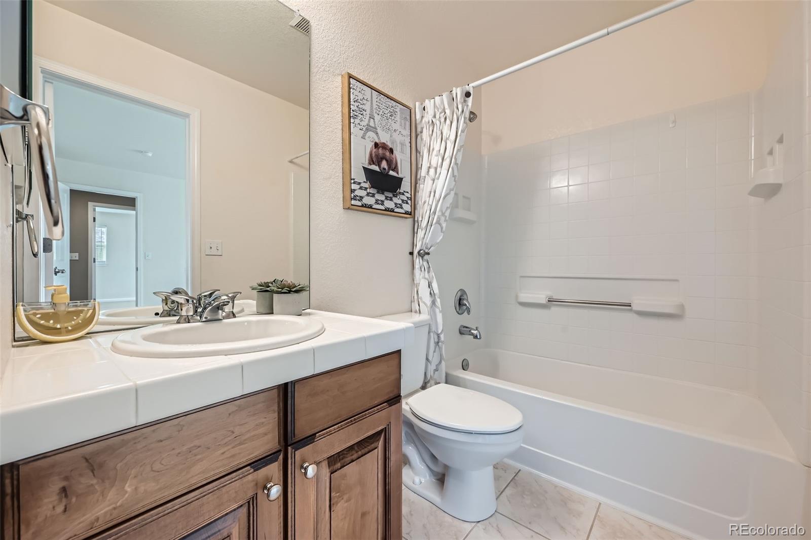 MLS Image #18 for 22991  hope dale avenue,parker, Colorado