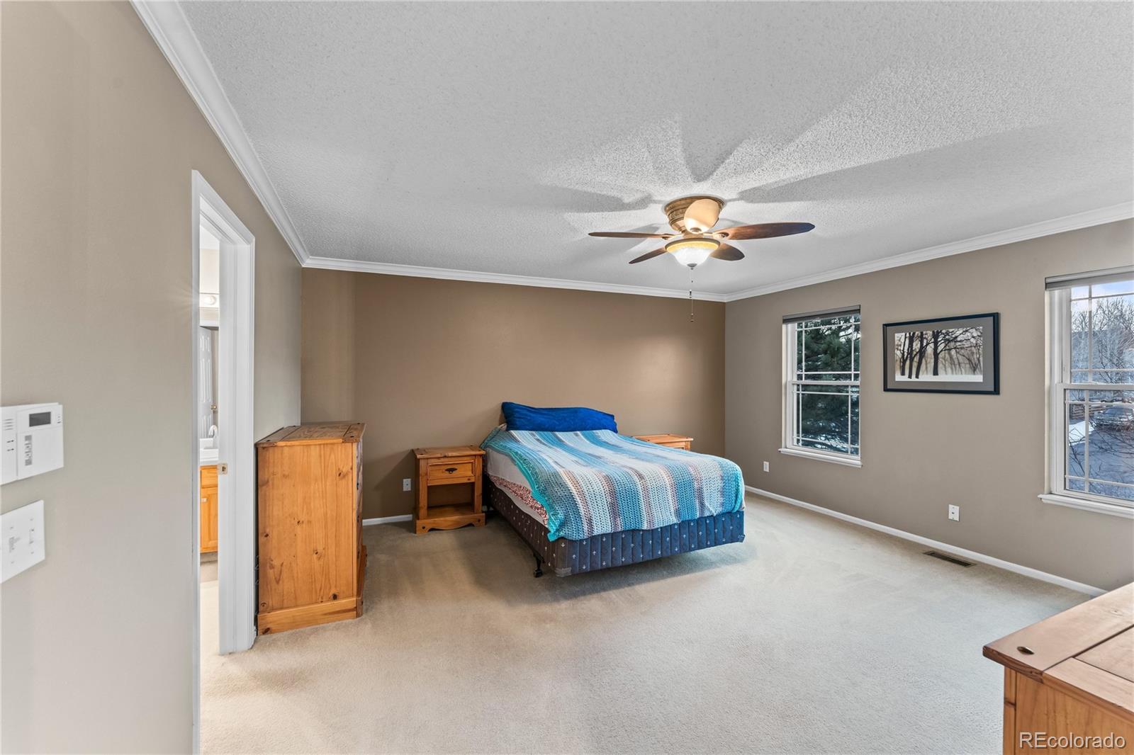 MLS Image #20 for 6005  whirlwind drive,colorado springs, Colorado