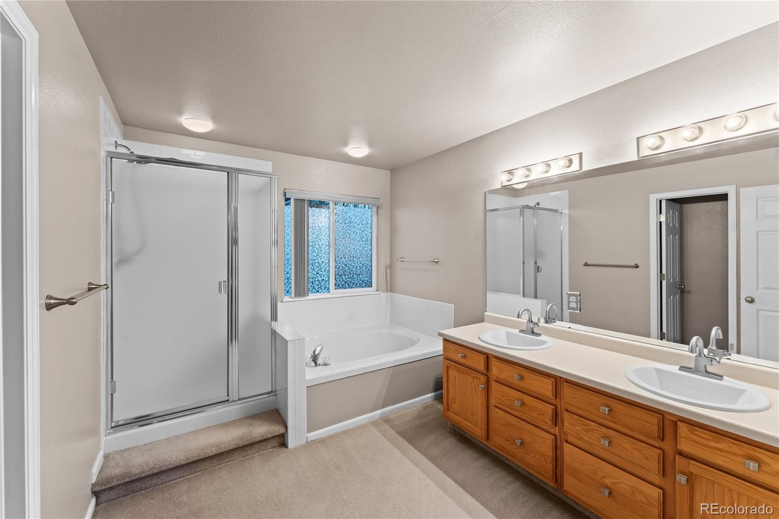 MLS Image #23 for 6005  whirlwind drive,colorado springs, Colorado