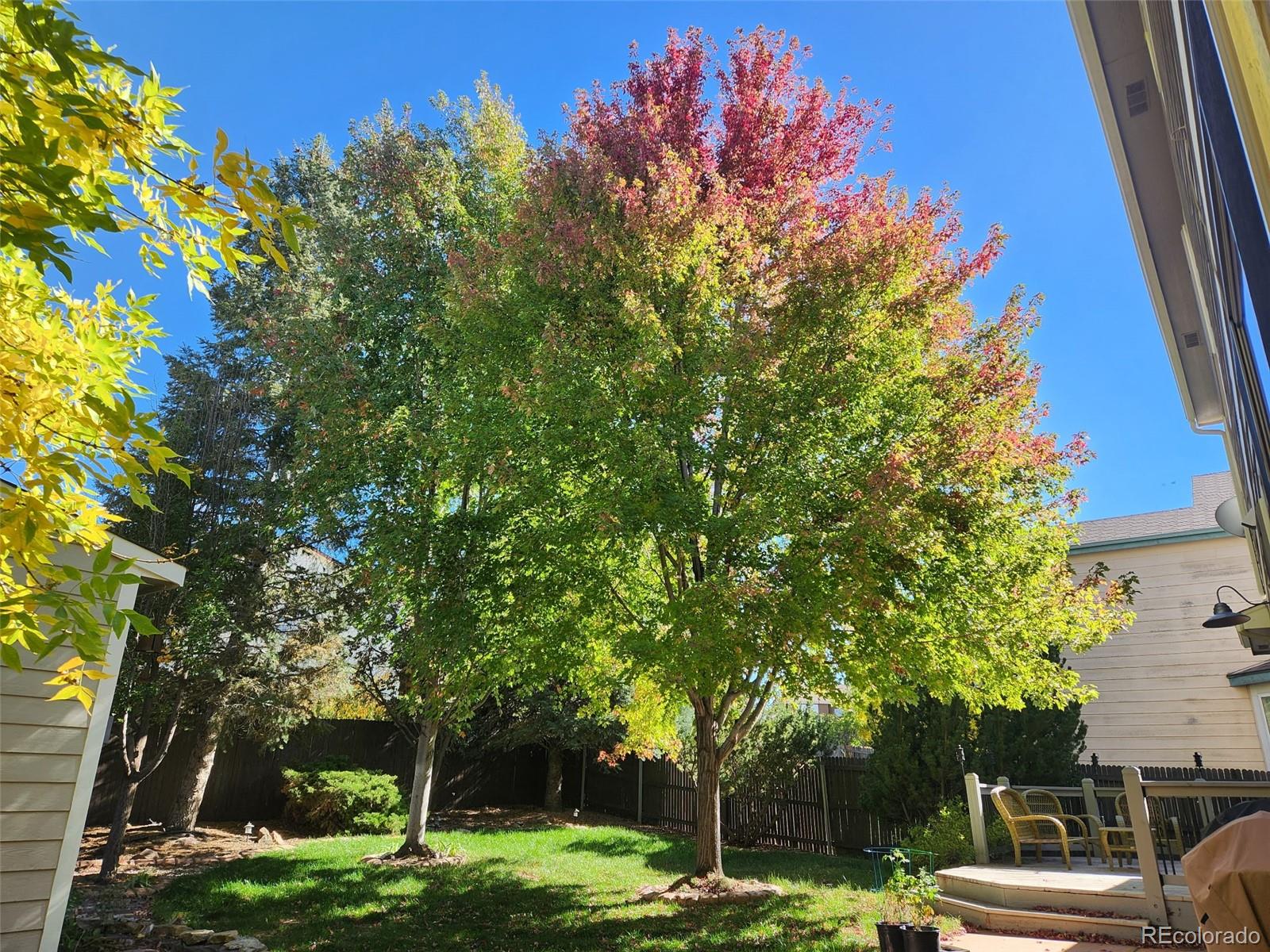 MLS Image #41 for 6005  whirlwind drive,colorado springs, Colorado