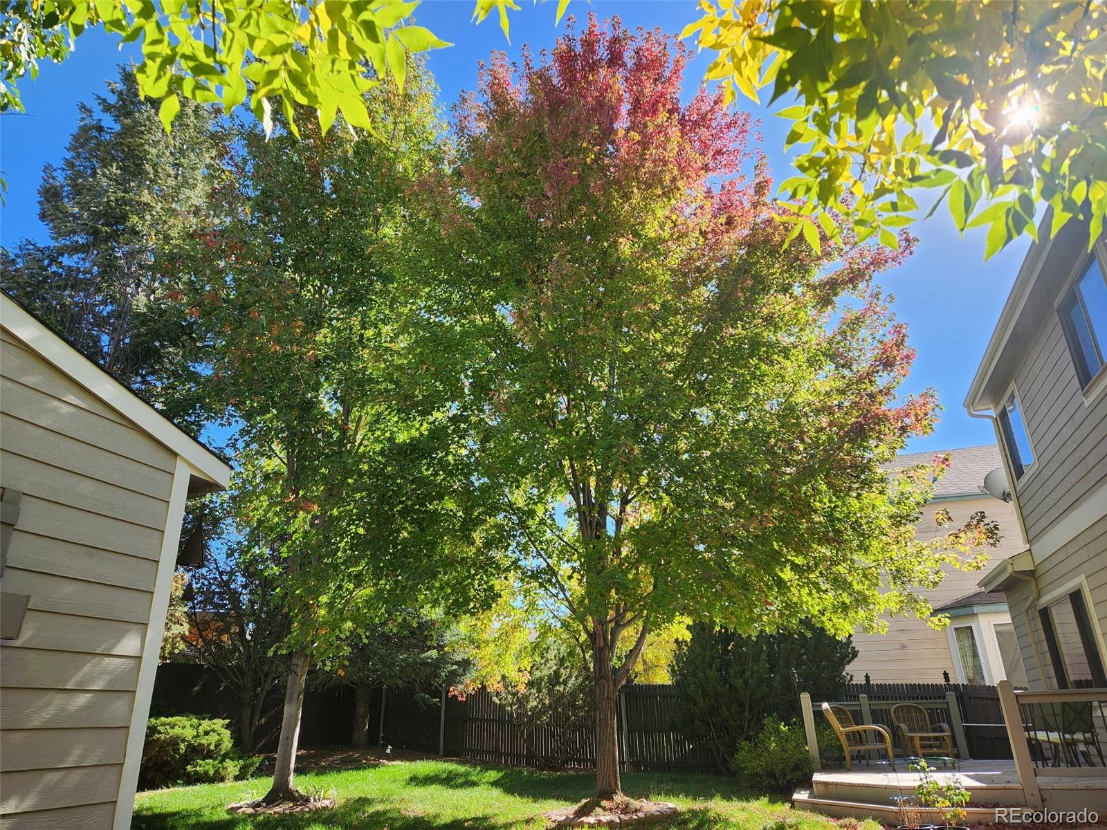 MLS Image #42 for 6005  whirlwind drive,colorado springs, Colorado