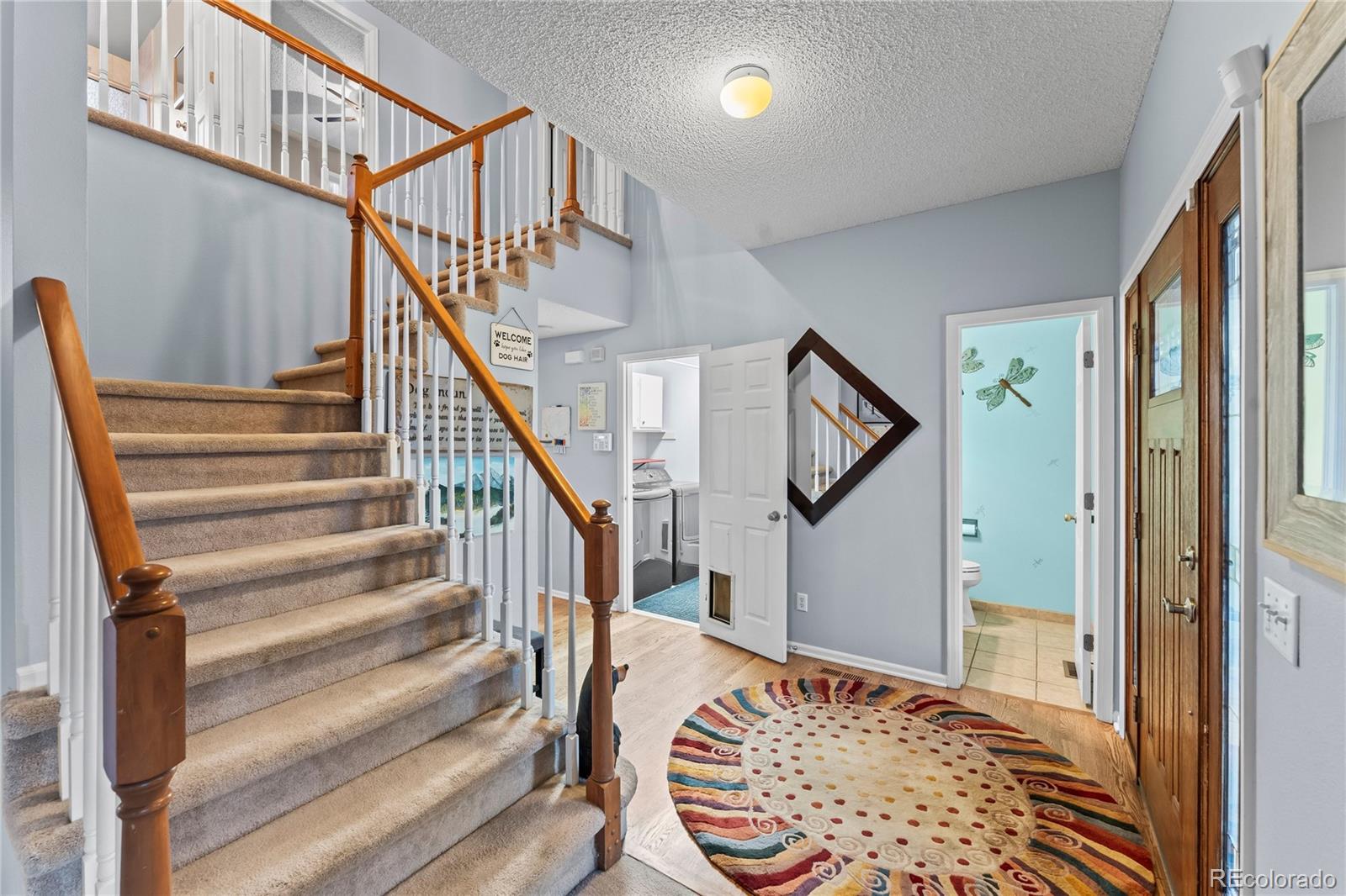 MLS Image #5 for 6005  whirlwind drive,colorado springs, Colorado