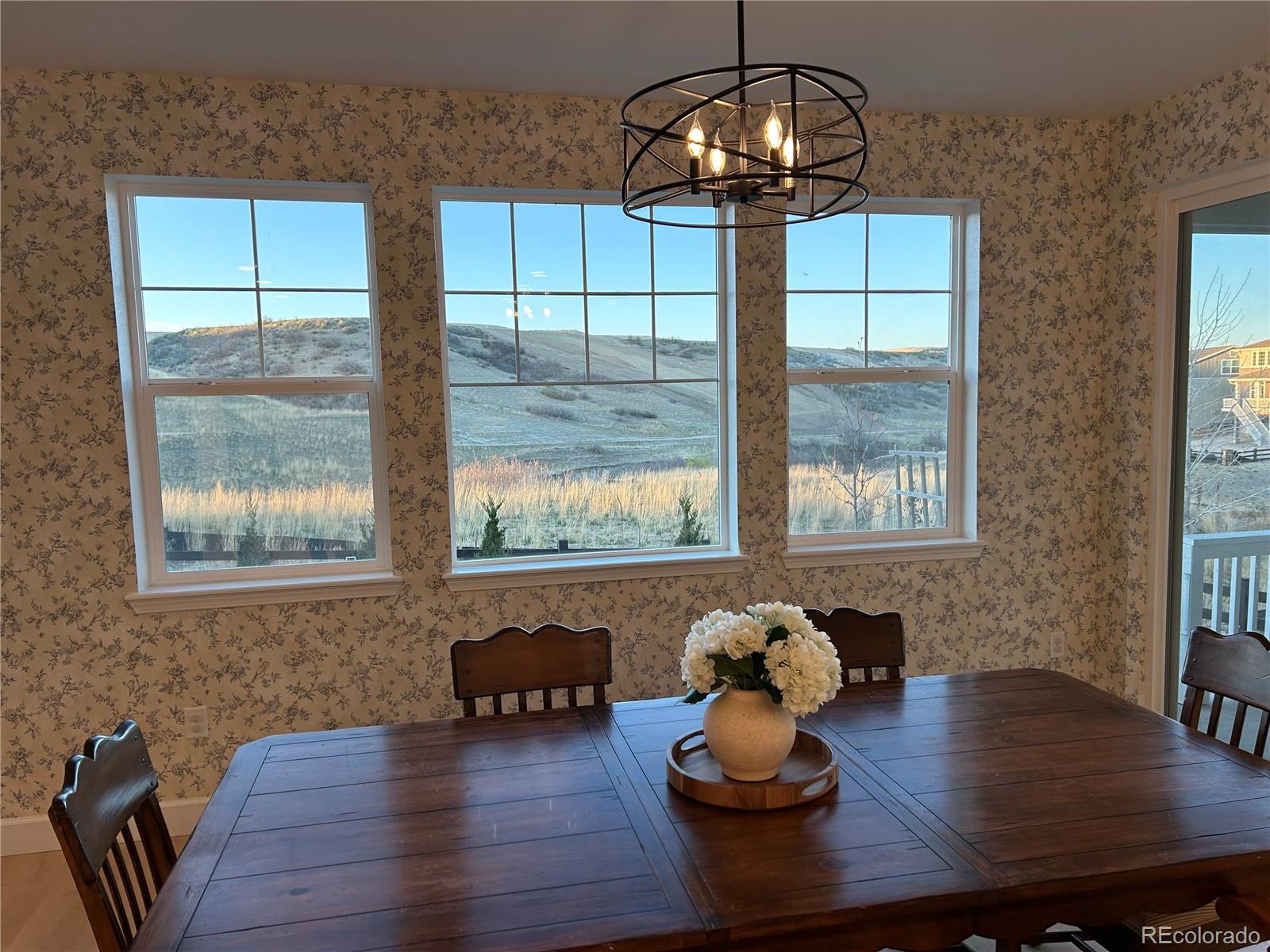 MLS Image #13 for 3807  descent street,castle rock, Colorado