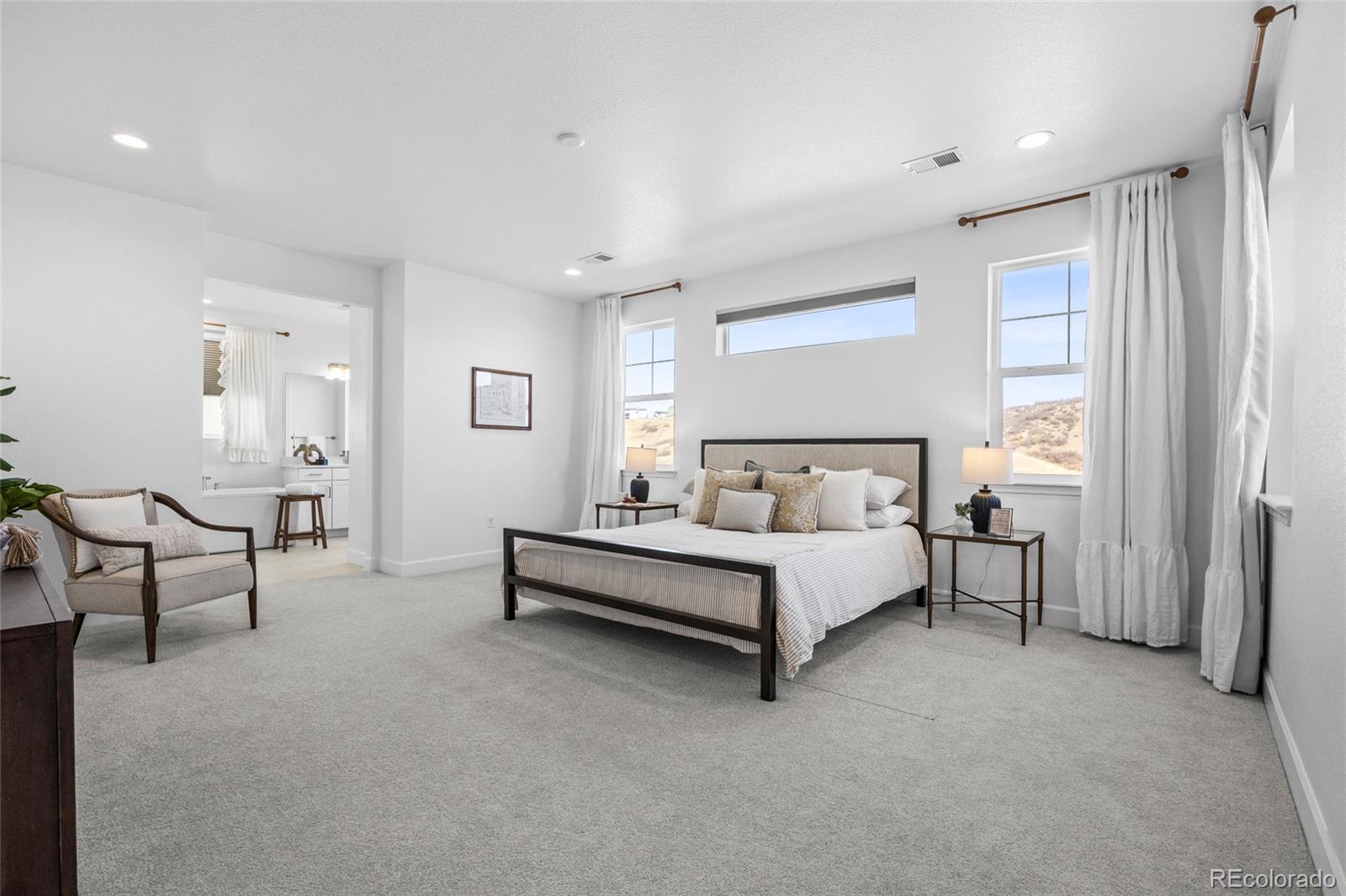MLS Image #26 for 3807  descent street,castle rock, Colorado