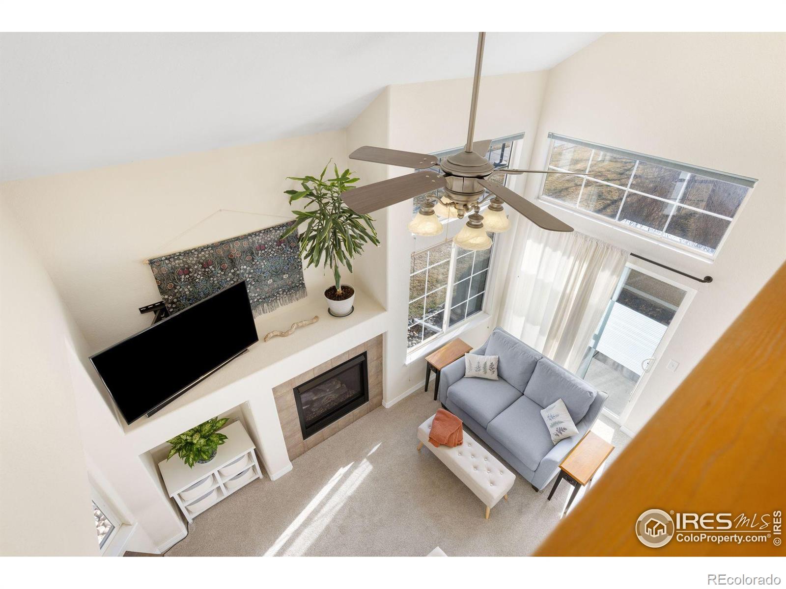MLS Image #14 for 805  summer hawk drive,longmont, Colorado