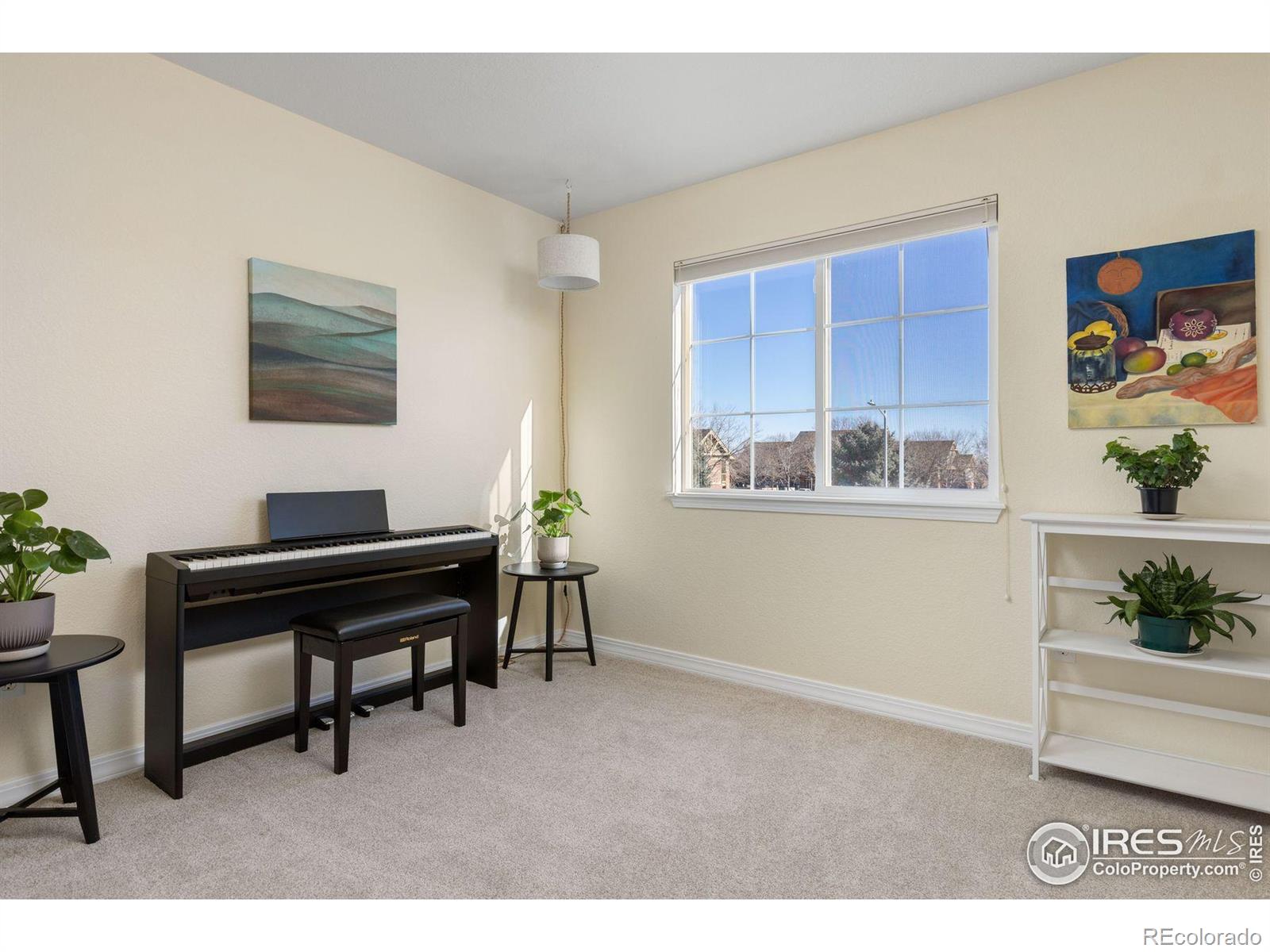 MLS Image #19 for 805  summer hawk drive,longmont, Colorado
