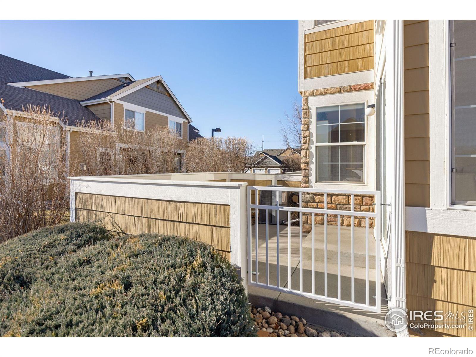 MLS Image #24 for 805  summer hawk drive,longmont, Colorado