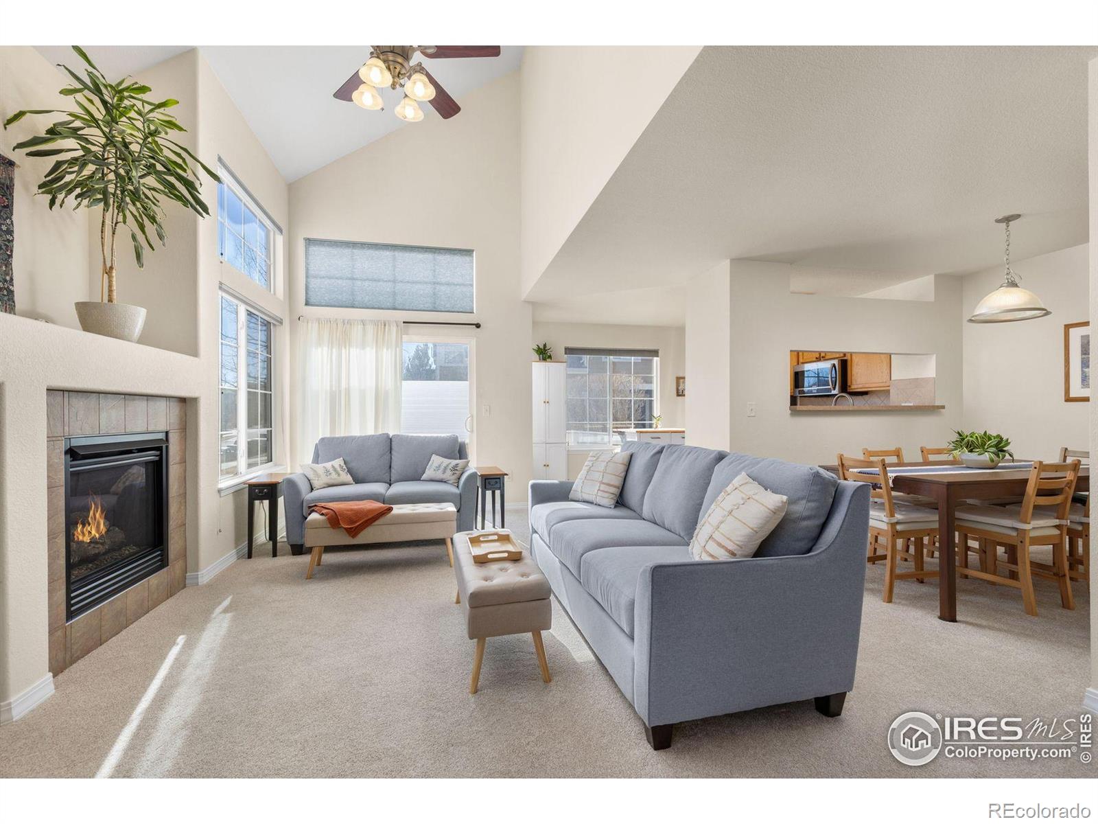MLS Image #3 for 805  summer hawk drive,longmont, Colorado