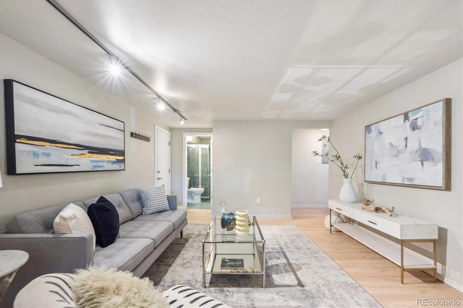 MLS Image #5 for 1245  columbine street,denver, Colorado