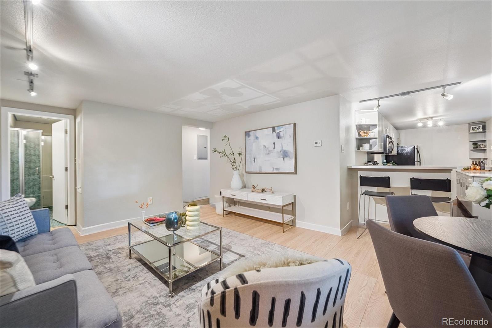 MLS Image #6 for 1245  columbine street,denver, Colorado