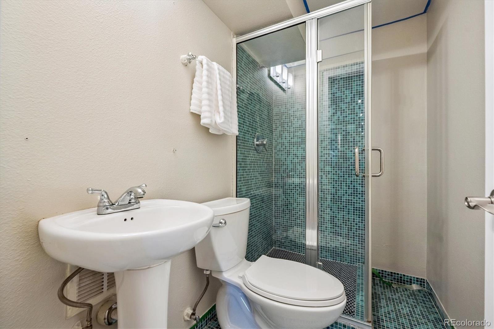 MLS Image #9 for 1245  columbine street,denver, Colorado