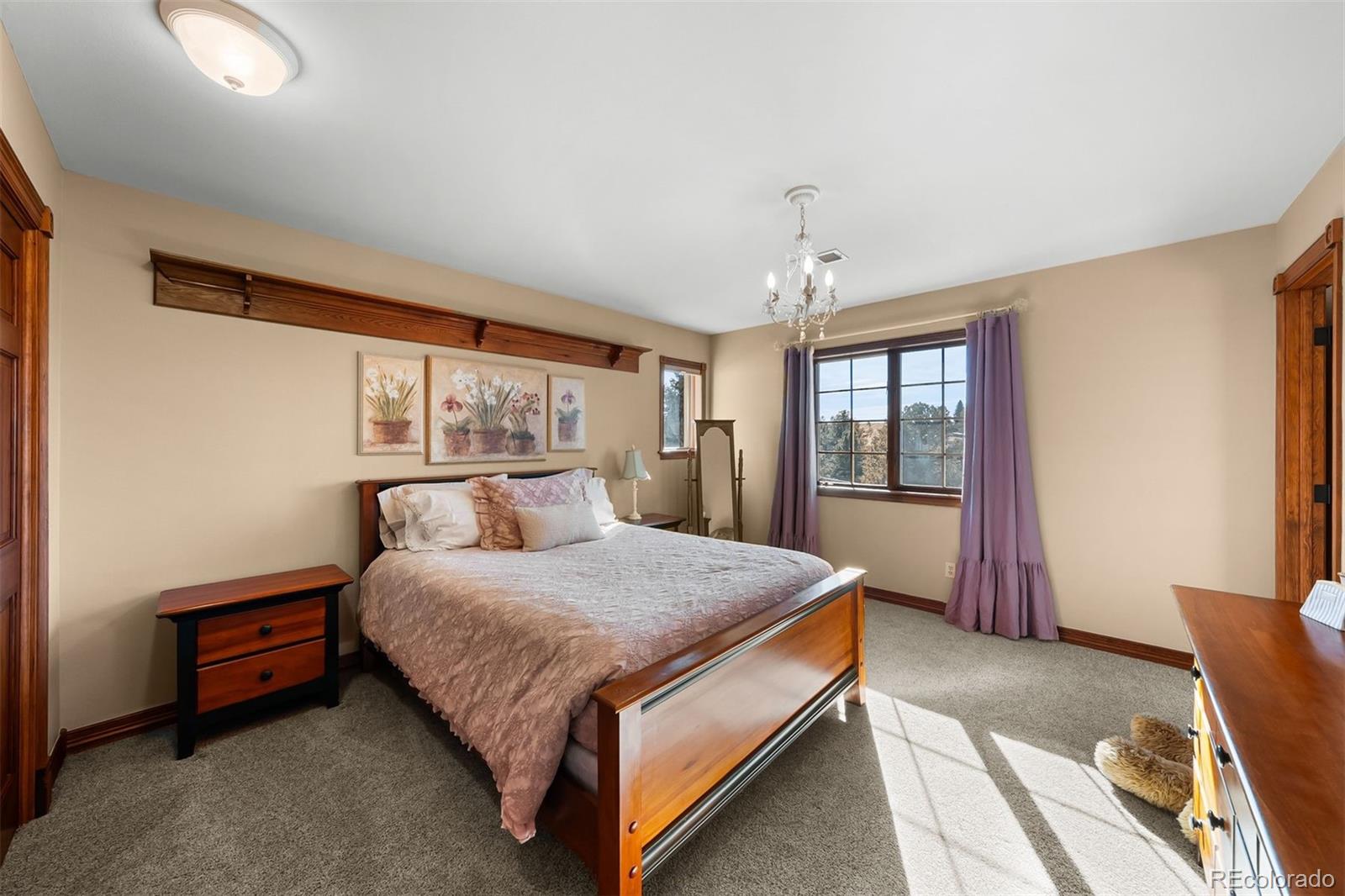 MLS Image #21 for 8245 n sunburst trail,parker, Colorado