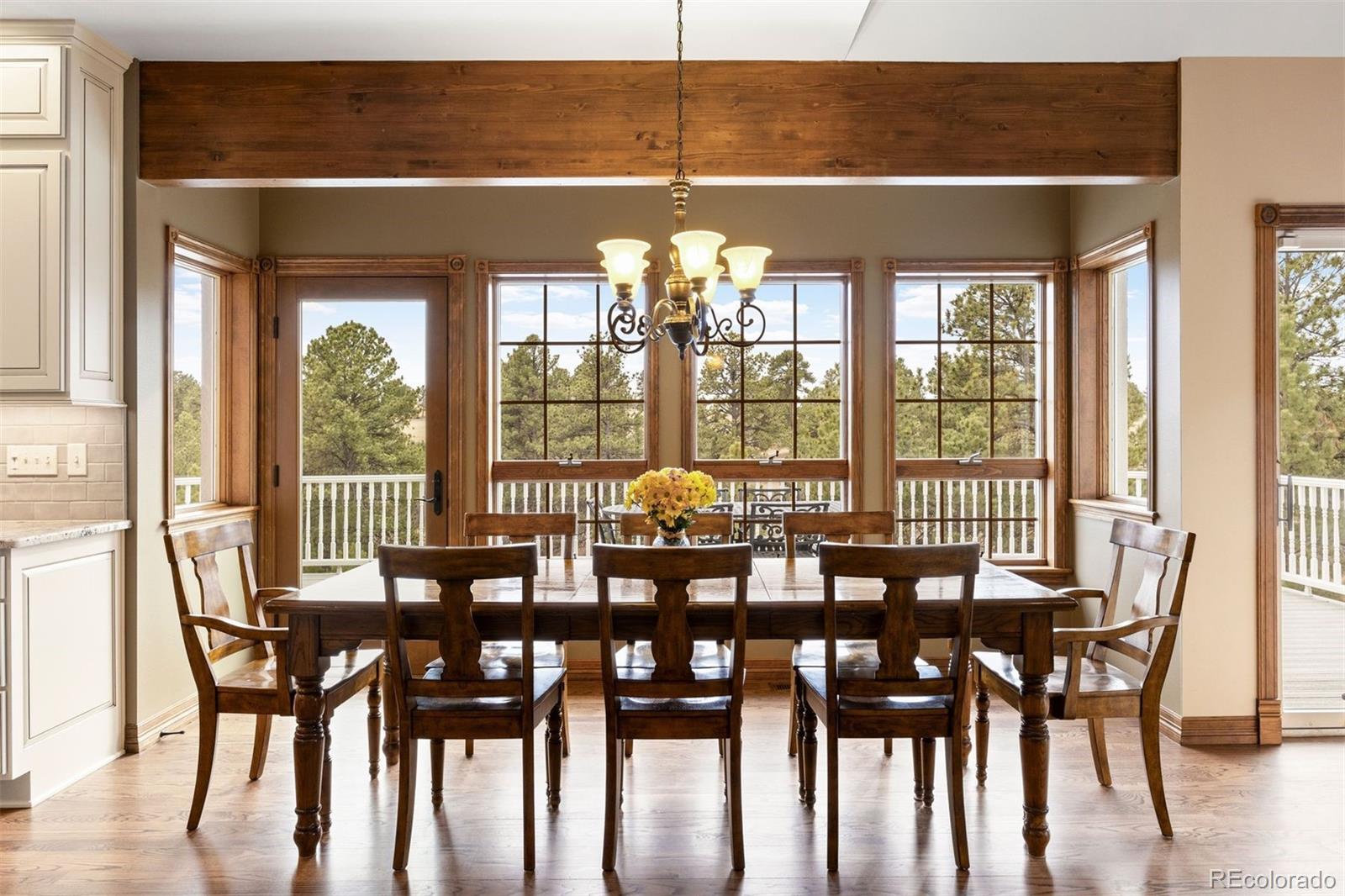 MLS Image #7 for 8245 n sunburst trail,parker, Colorado