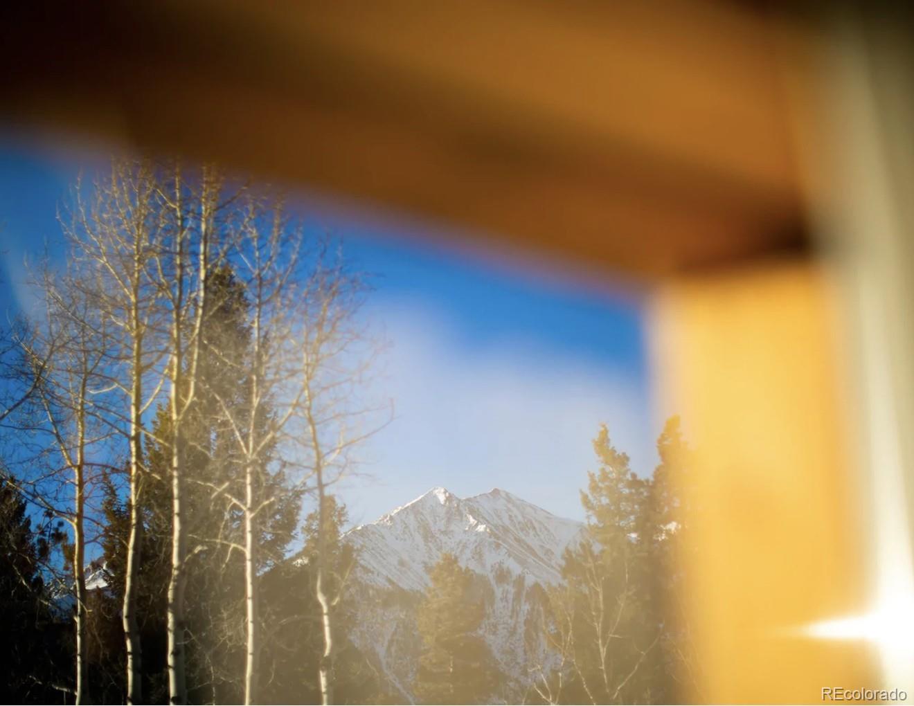 MLS Image #14 for 400  county road 26 ,twin lakes, Colorado